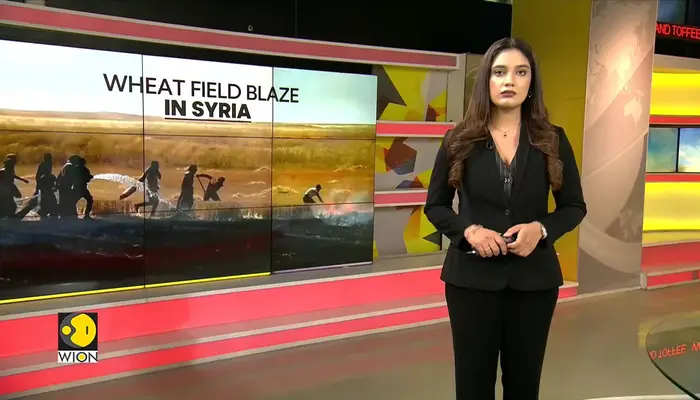 Wildfires Engulf Wheat Fields Across Syria