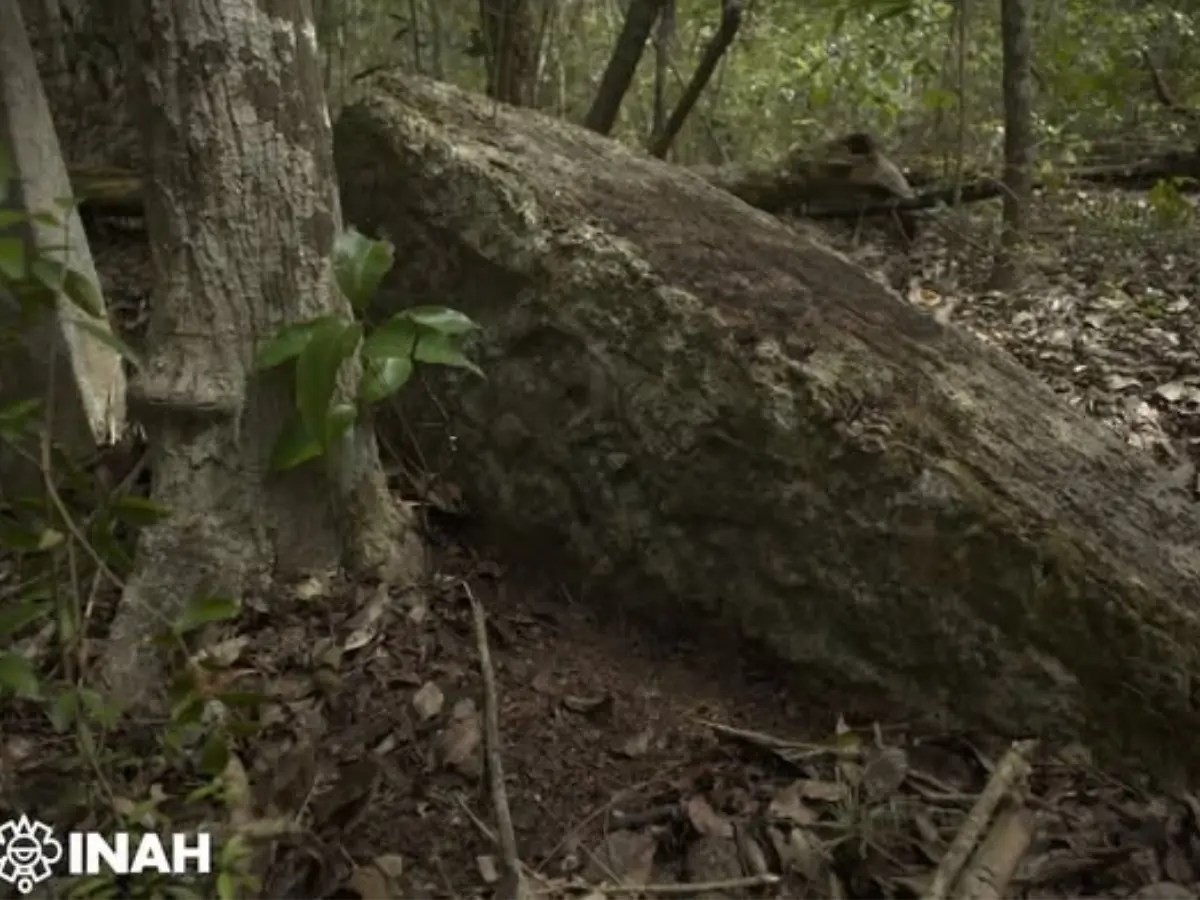 Pristine Mayan city discovered inside Mexican jungle was hidden for 1,000 years