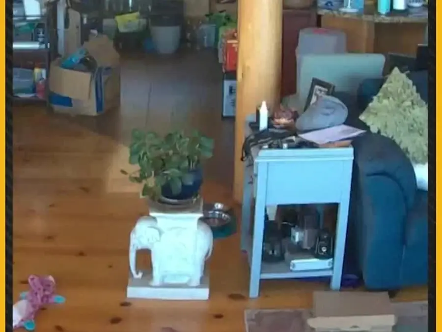 California Earthquake: Strongest Northern California Quake Since 1940 Shakes Region 