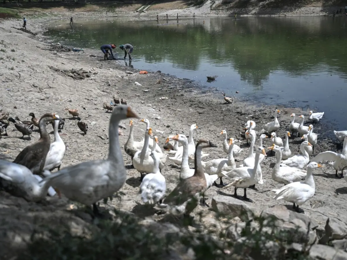 Analysis: Economic toll of heatwaves and droughts on India amid Europe heatwave Analysis: Economic toll of heatwaves and droughts on India amid Europe heatwave