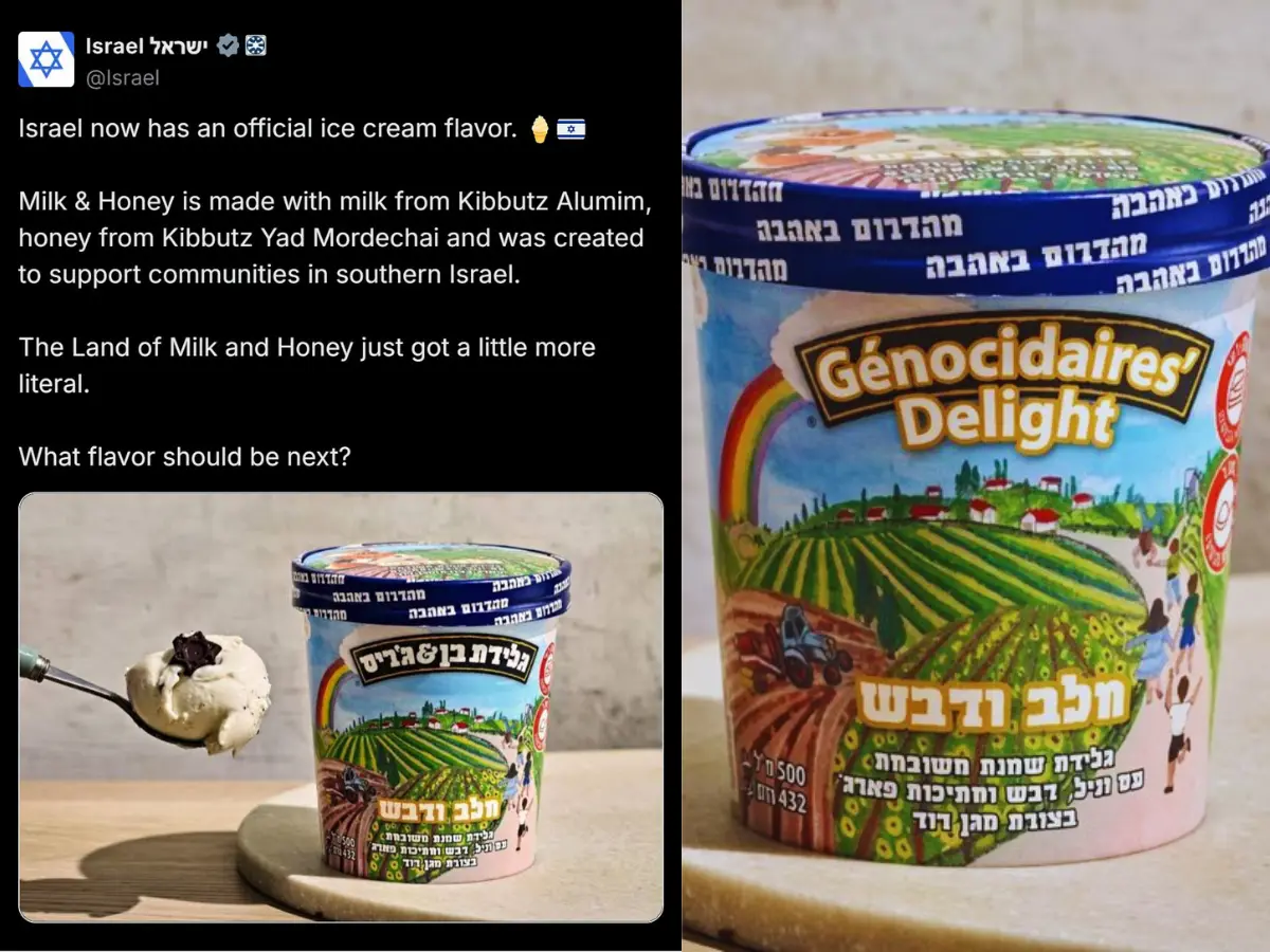 Israel deletes post promoting Ben & Jerry's new 'Genocidaires' ice cream after online backlash