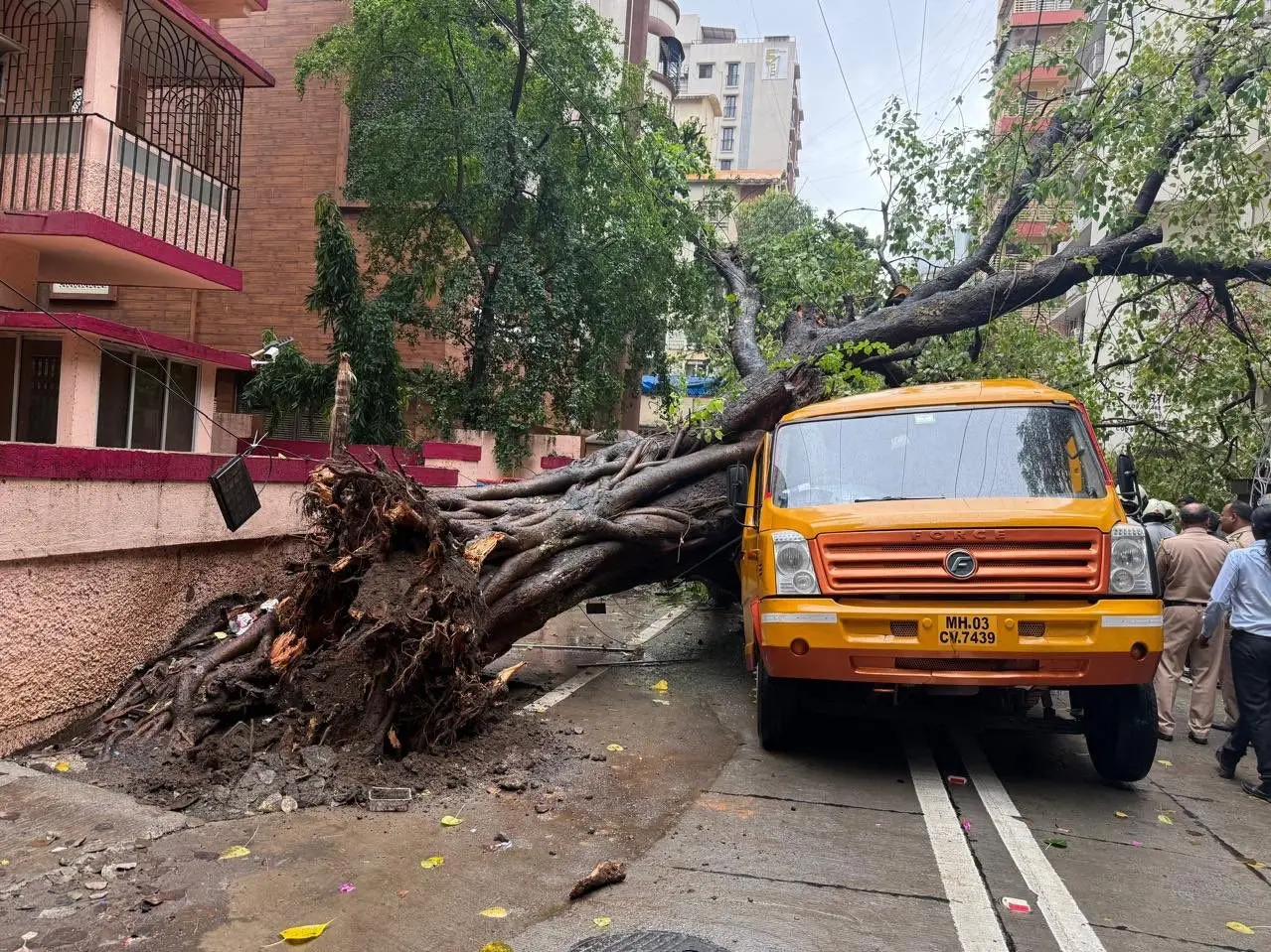 Mumbai: 11-year-old dies after tree falls on school bus during heavy rains Mumbai: 11-year-old dies after tree falls on school bus during heavy rains