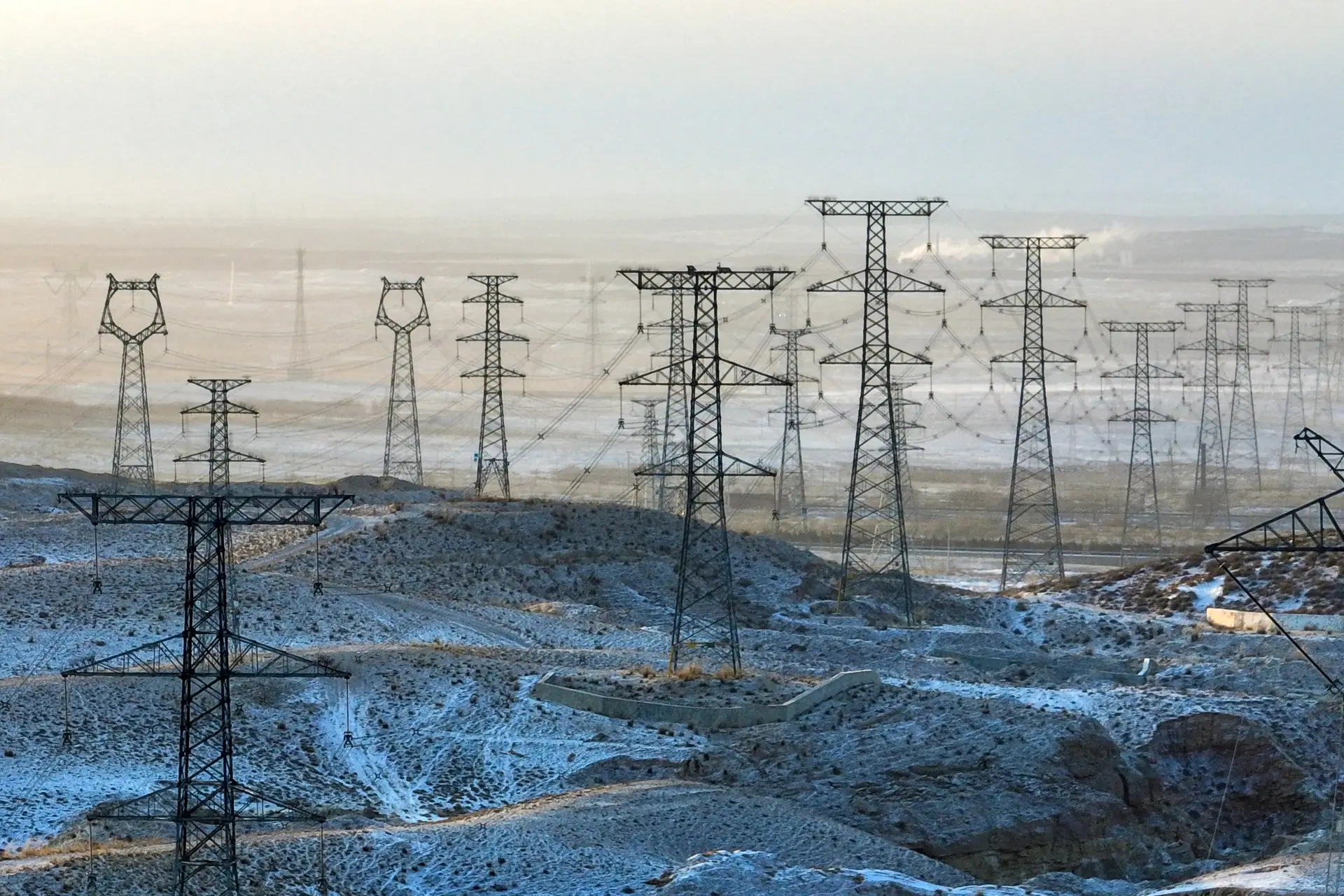 China's 66 billion trees in deserts are absorbing more CO2 and growing faster than natural ones