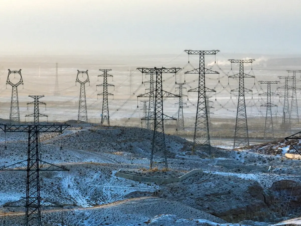 China's 66 billion trees in deserts are absorbing more CO2 and ...