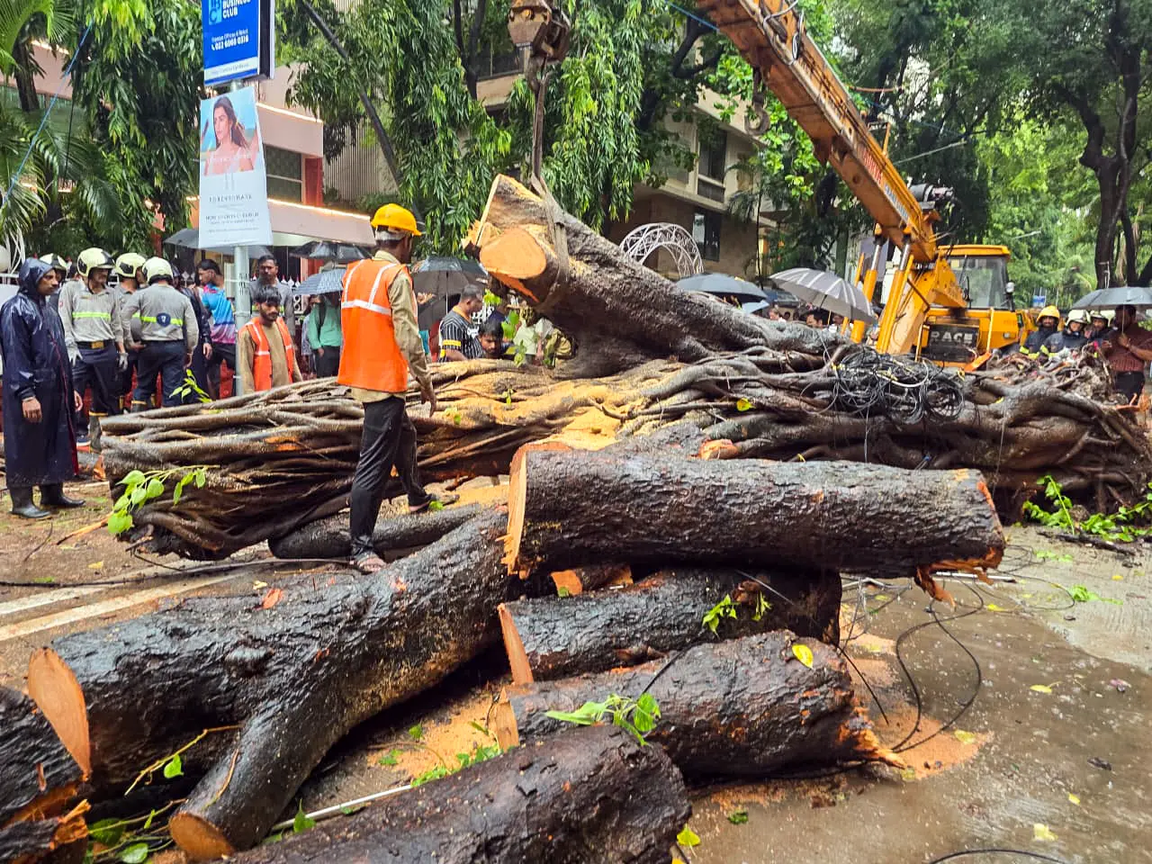 'He was our sunshine': Family mourns Vihaan Srivastava after Chembur tree collapse