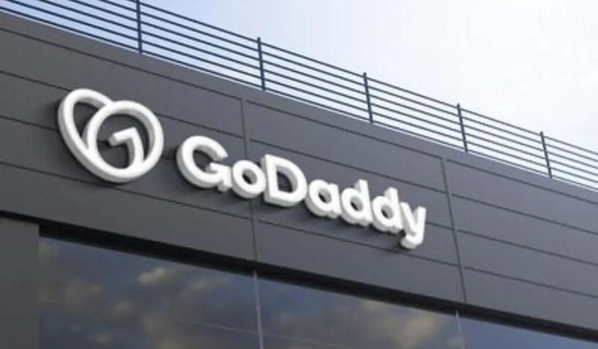 GoDaddy challenges Delhi High Court's anti-fake website rules: Here's what's at stake