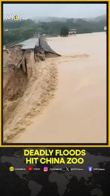Wion News