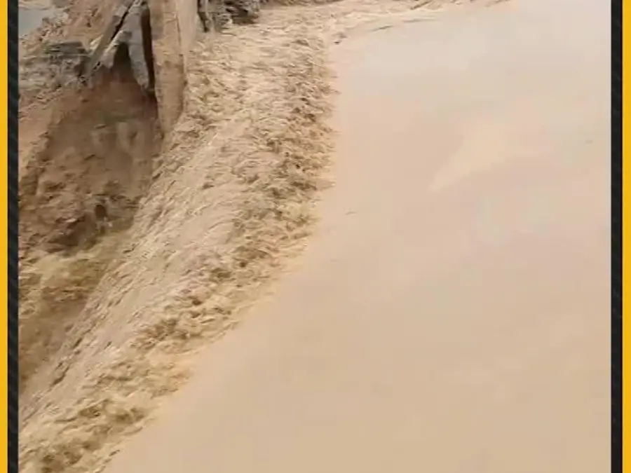 China Floods: Lions dead, Zebras on the run as floodwaters devastate zoo in Southern China 