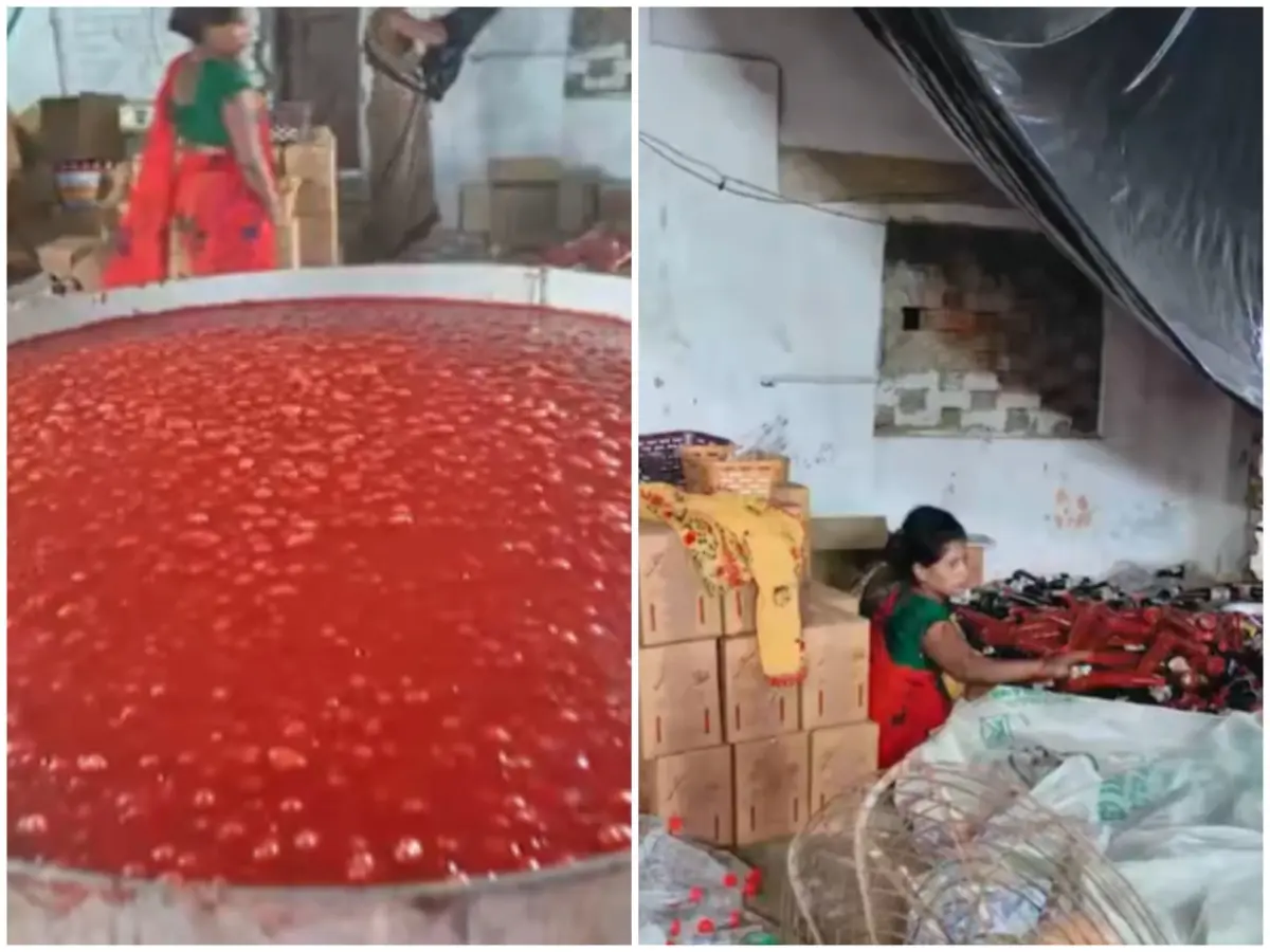 FSSAI busts illegal sauce factory operating in Kanpur, samples sent for testing