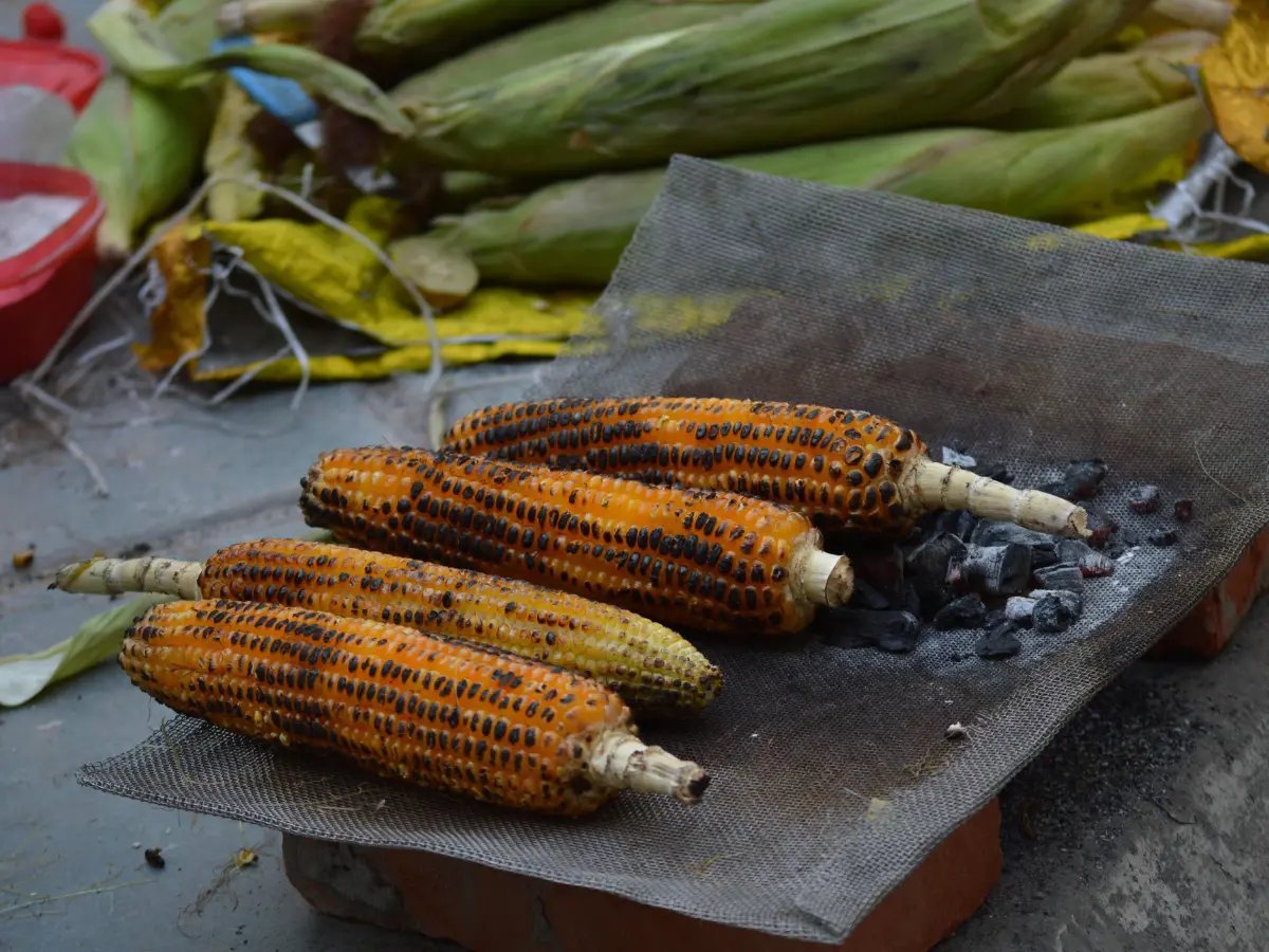 Roasted Corn (Bhutta)