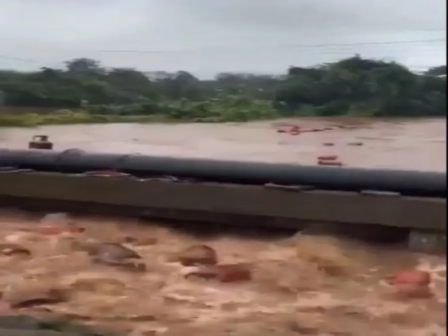 VIDEO: Around 3,000 HPCL gas cylinders float in Patalganga river in Raigad after flood water enters bottling plant