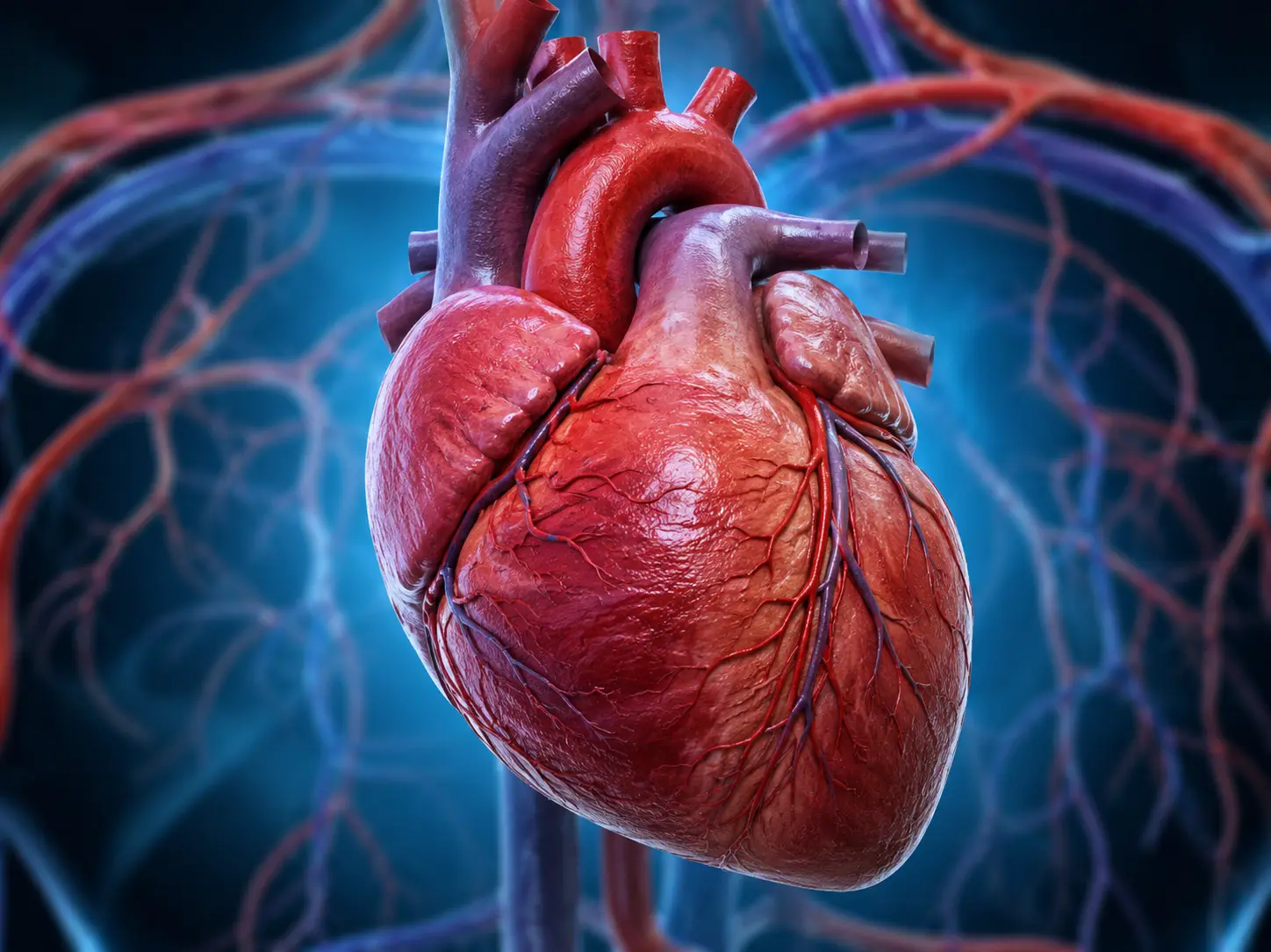Why your heart benefits from simple daily habits Why your heart benefits from simple daily habits