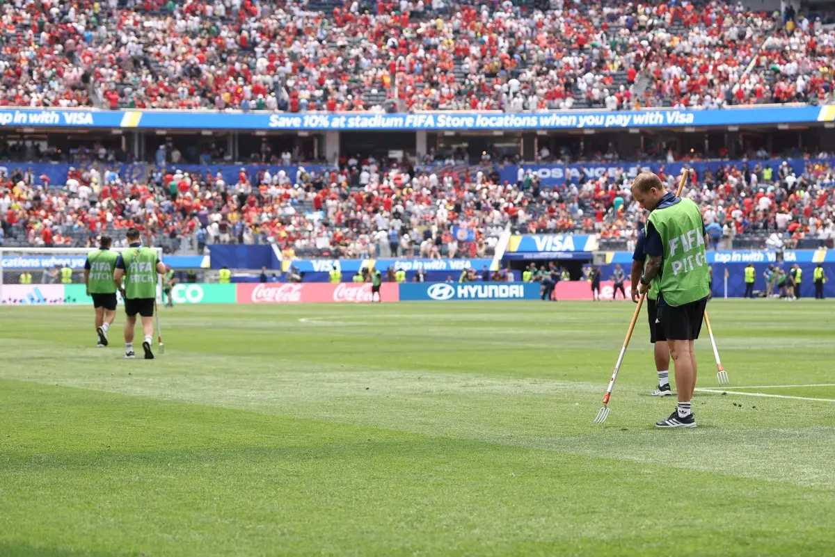 Want to own a piece of the FIFA World Cup final pitch? Here's the price