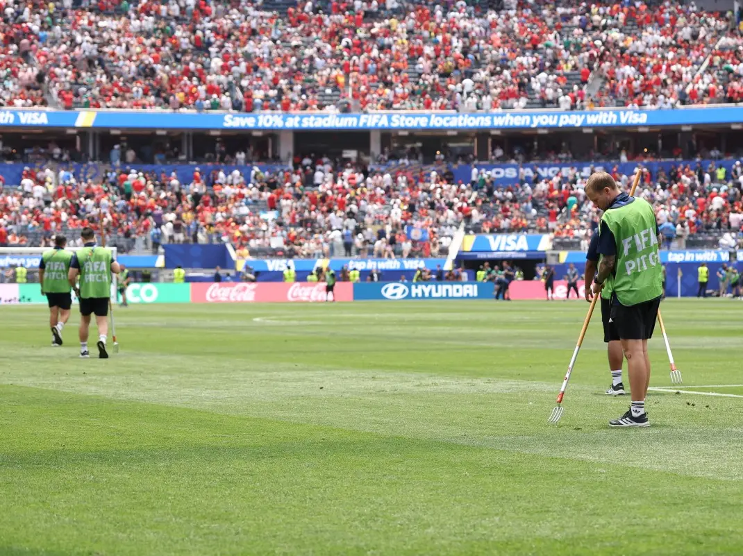 Want to own a piece of the FIFA World Cup final pitch? Here's the price Want to own a piece of the FIFA World Cup final pitch? Here's the price