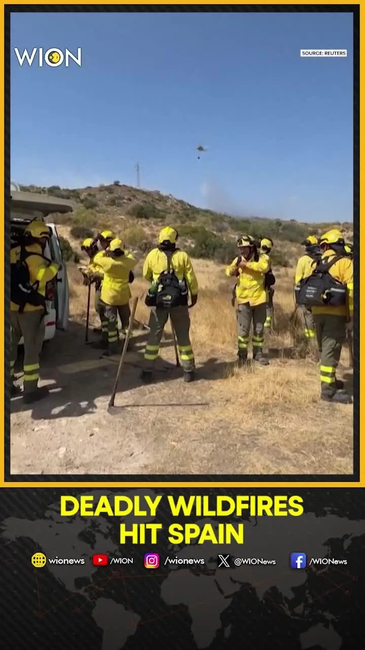Spain wildfires: Firefighters battle blazes as death toll hits twelve in Spain