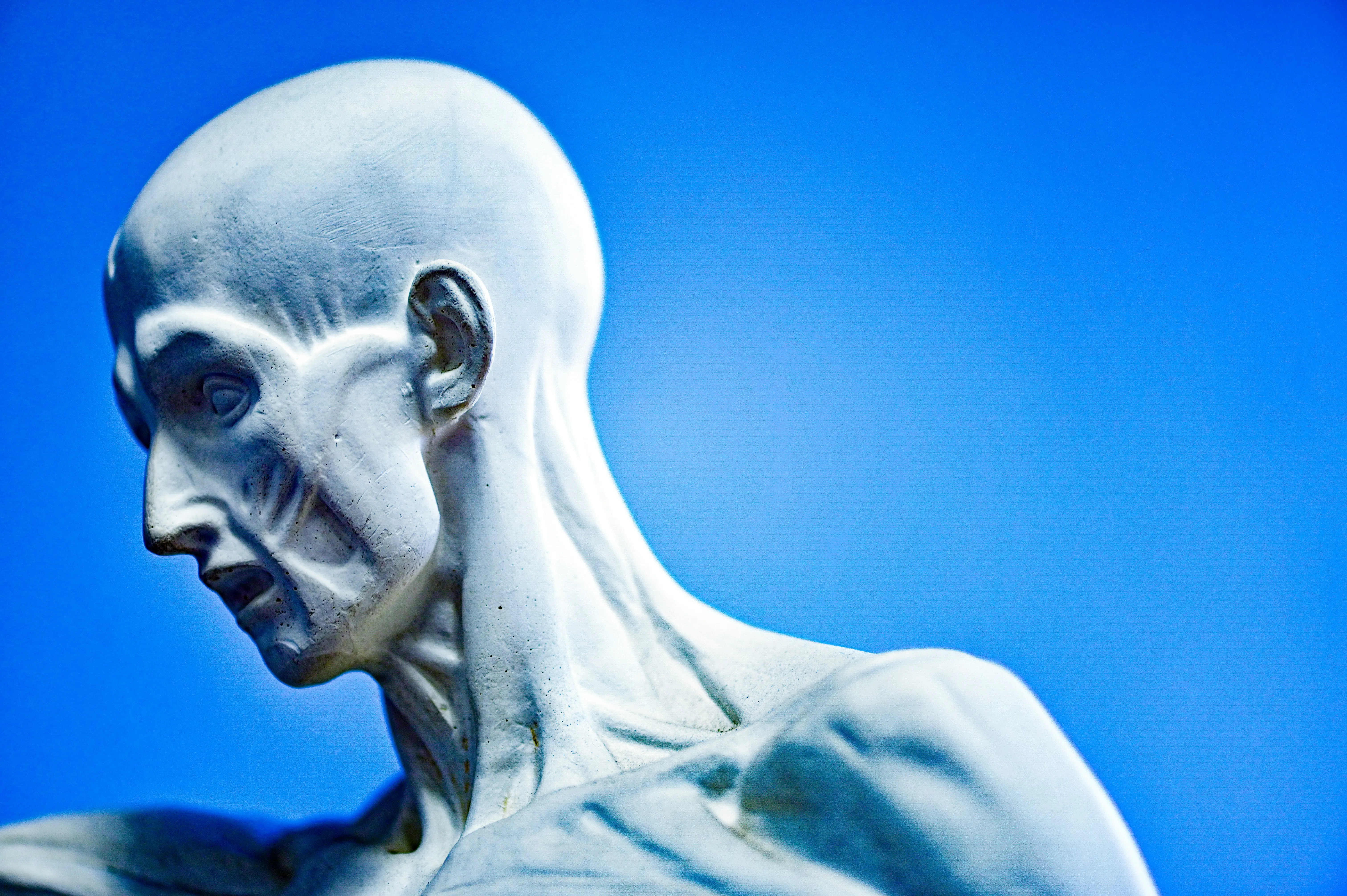 Biotech firm that went viral for plans to create 'nonsentient humanoids' for organ harvesting now says it was never true