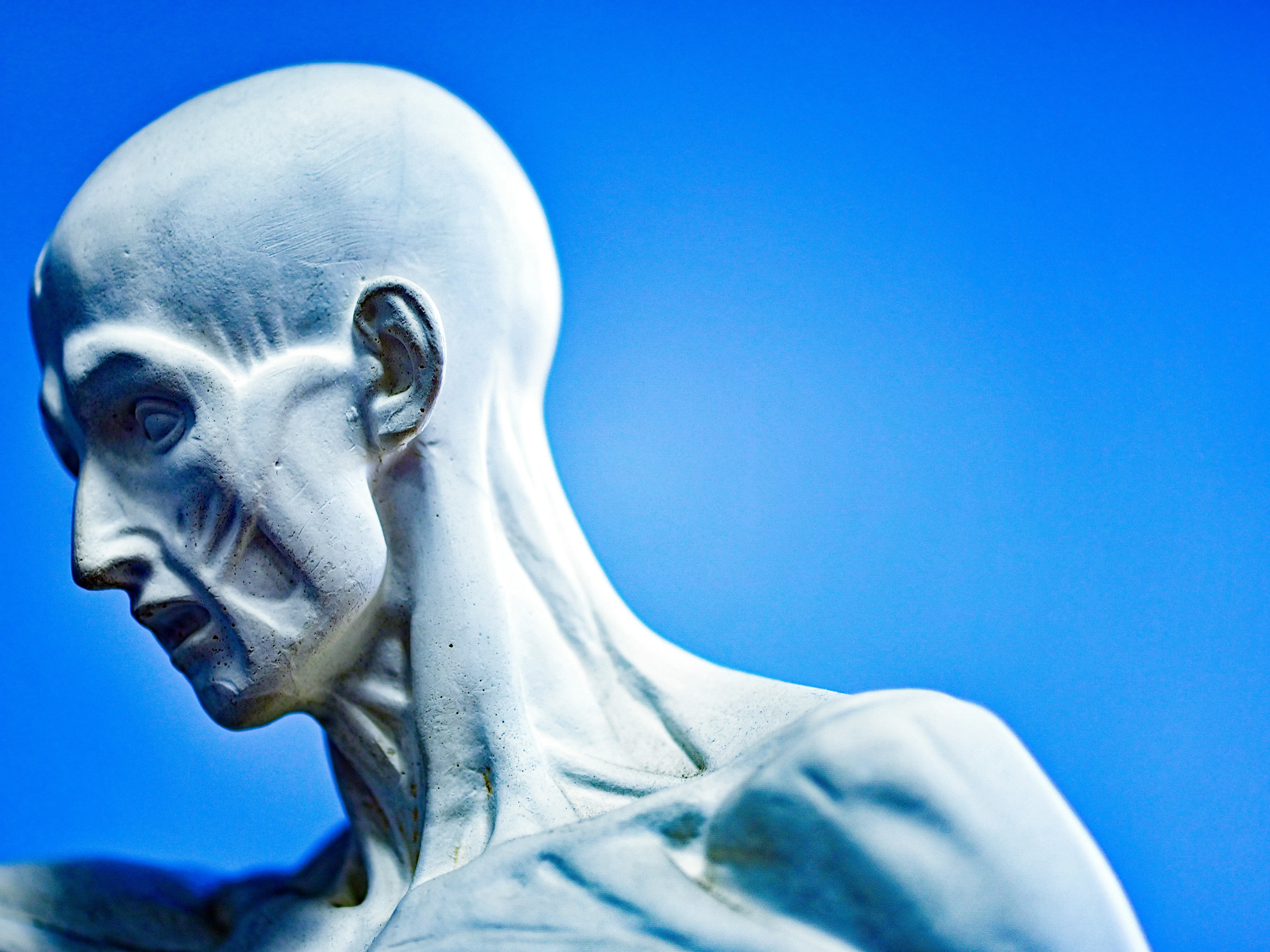 Biotech firm that went viral for plans to create 'nonsentient humanoids' for organ harvesting now says it was never true Biotech firm that went viral for plans to create 'nonsentient humanoids' for organ harvesting now says it was never true