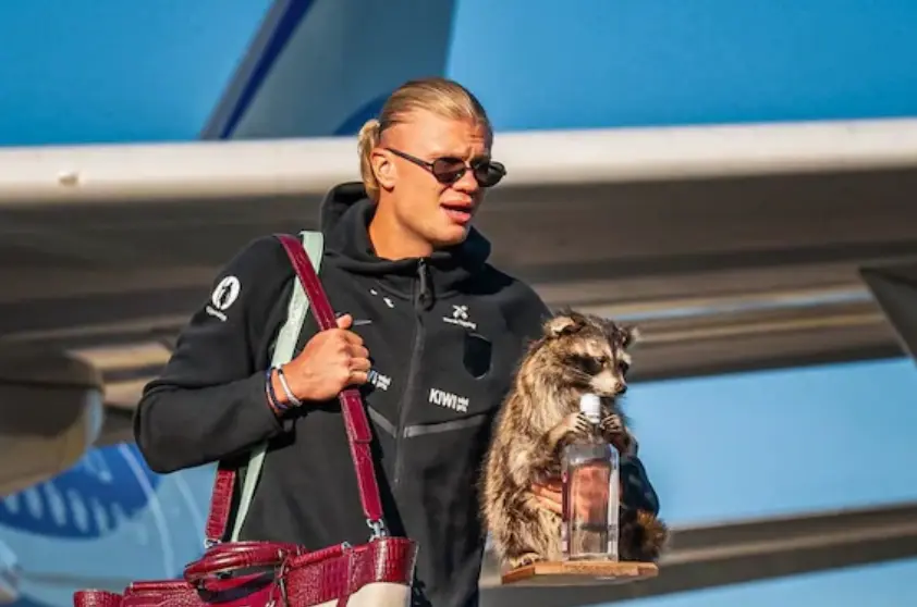 FIFA World Cup 2026: Norway's Erling Haaland returns home with a raccoon