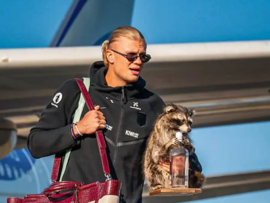 FIFA World Cup 2026: Norway's Erling Haaland returns home with a raccoon