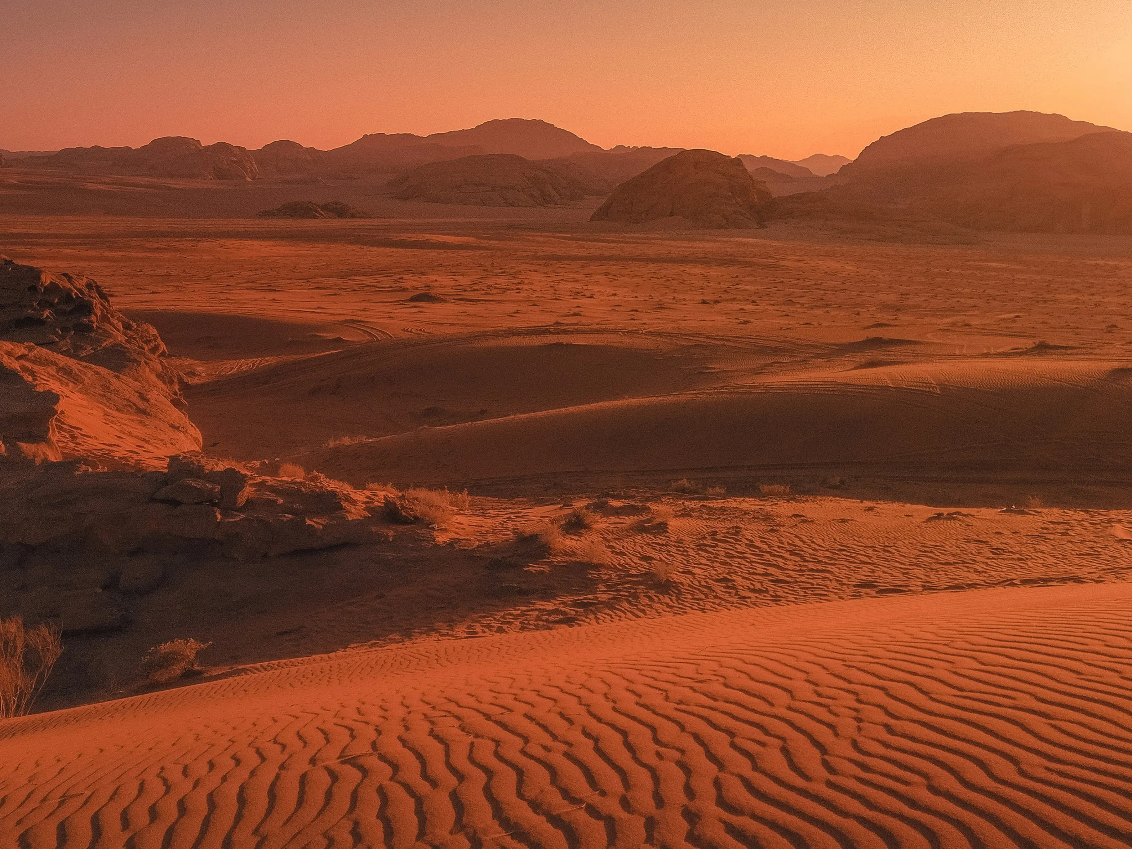 Bad News for Musk: Earthly microbes could turn deadlier on Mars, spelling doom for astronauts Bad News for Musk: Earthly microbes could turn deadlier on Mars, spelling doom for astronauts