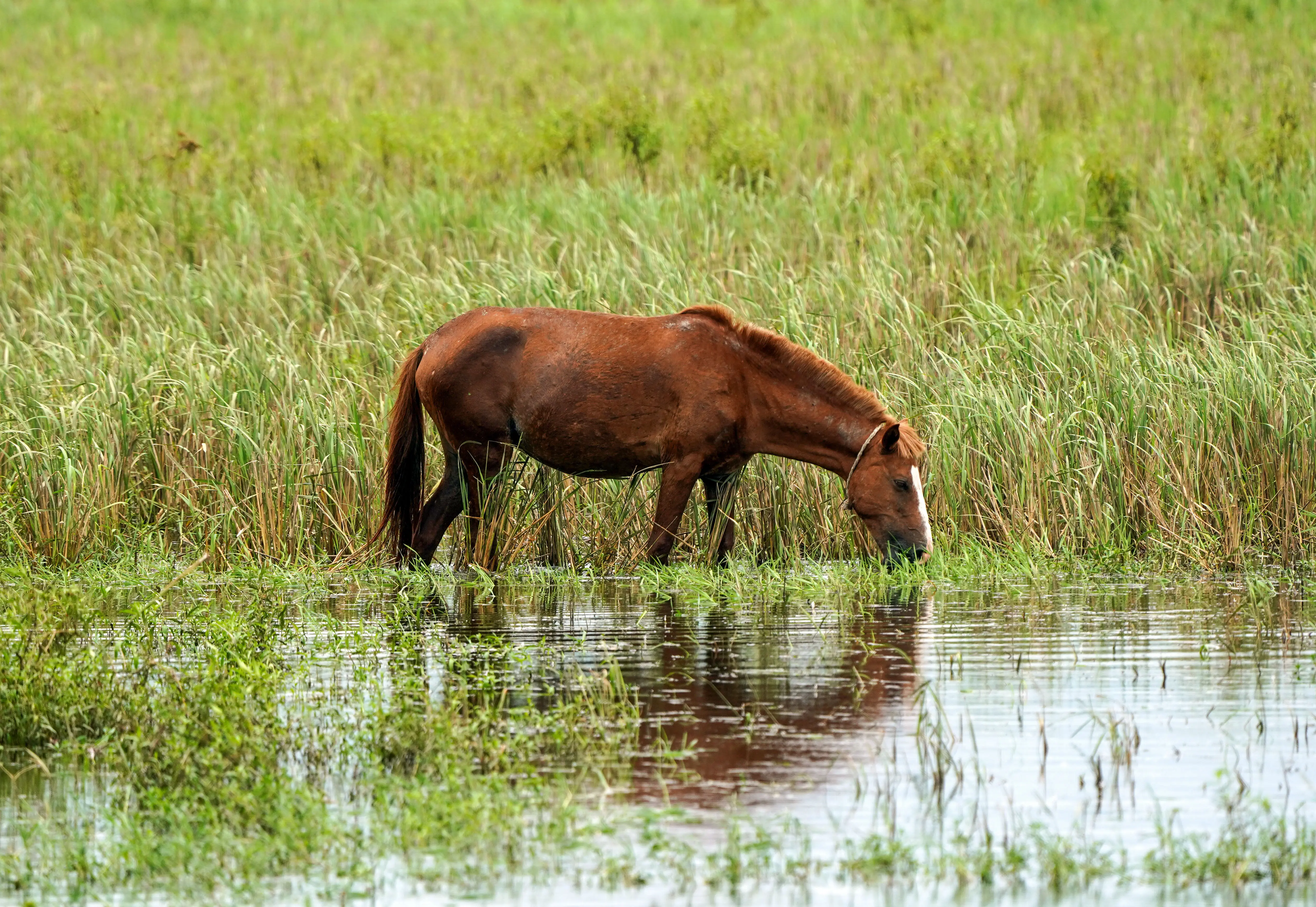 India's rainfall plunges to 24-year low, drought fears return, kharif crops in danger | Gravitas
