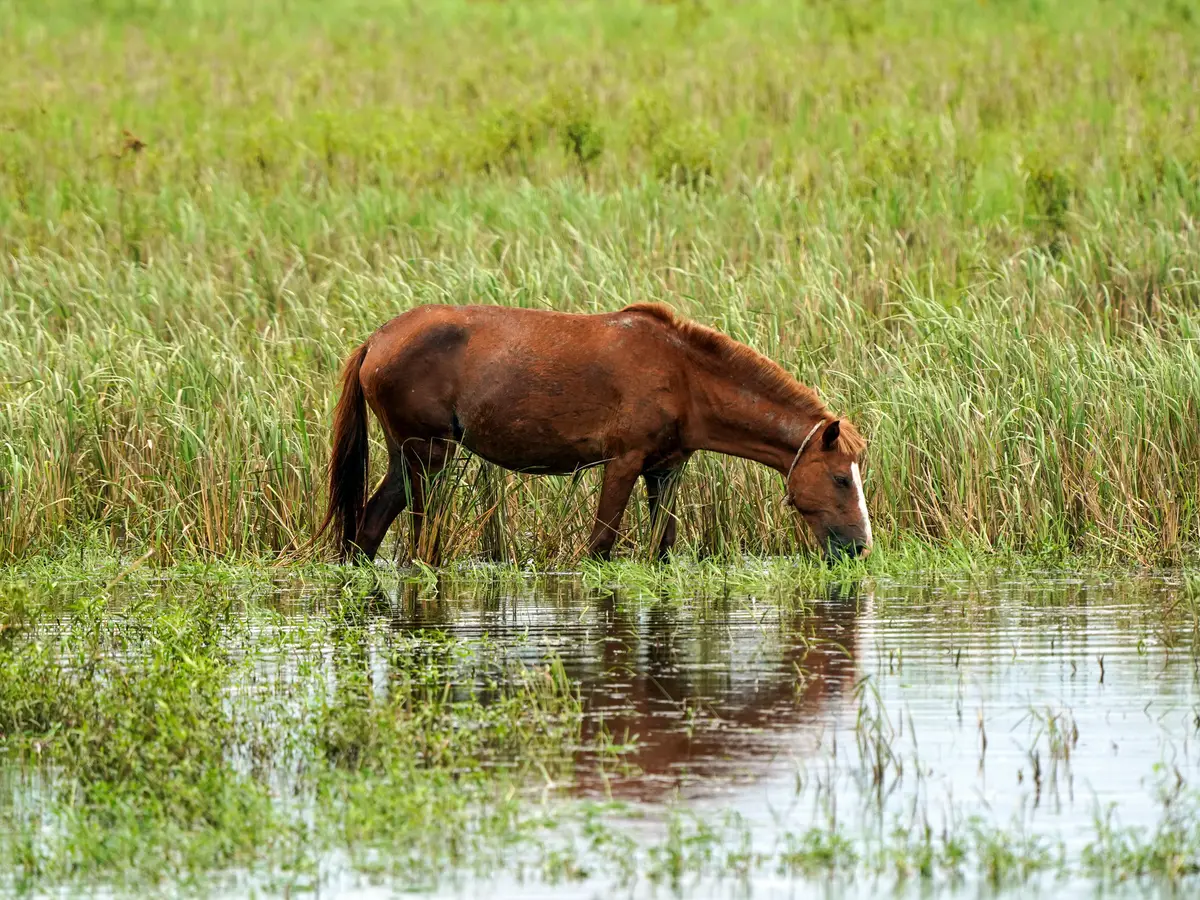 India's rainfall plunges to 24-year low, drought fears return ...