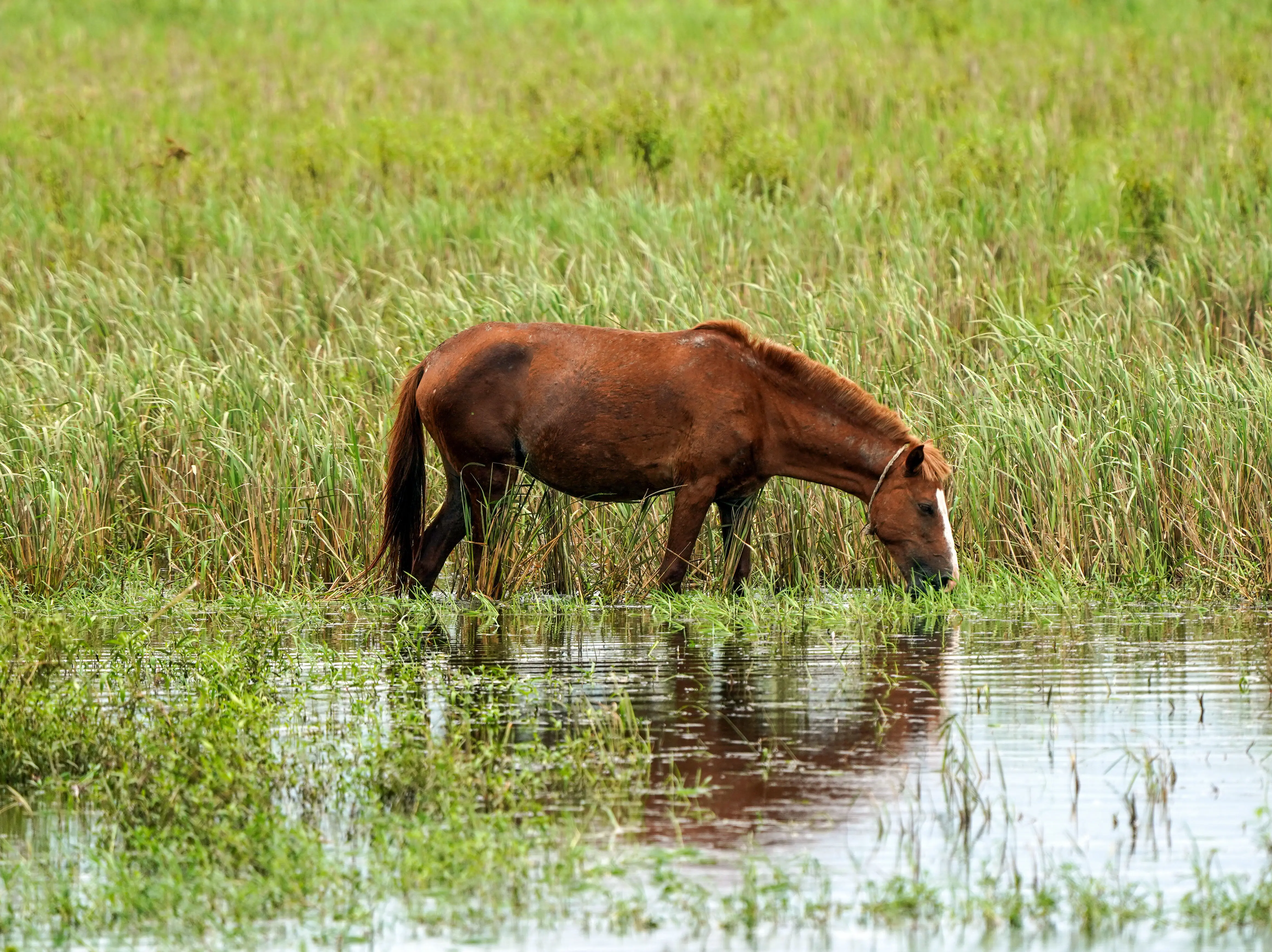 India's rainfall plunges to 24-year low, drought fears return, kharif crops in danger | Gravitas India's rainfall plunges to 24-year low, drought fears return, kharif crops in danger | Gravitas