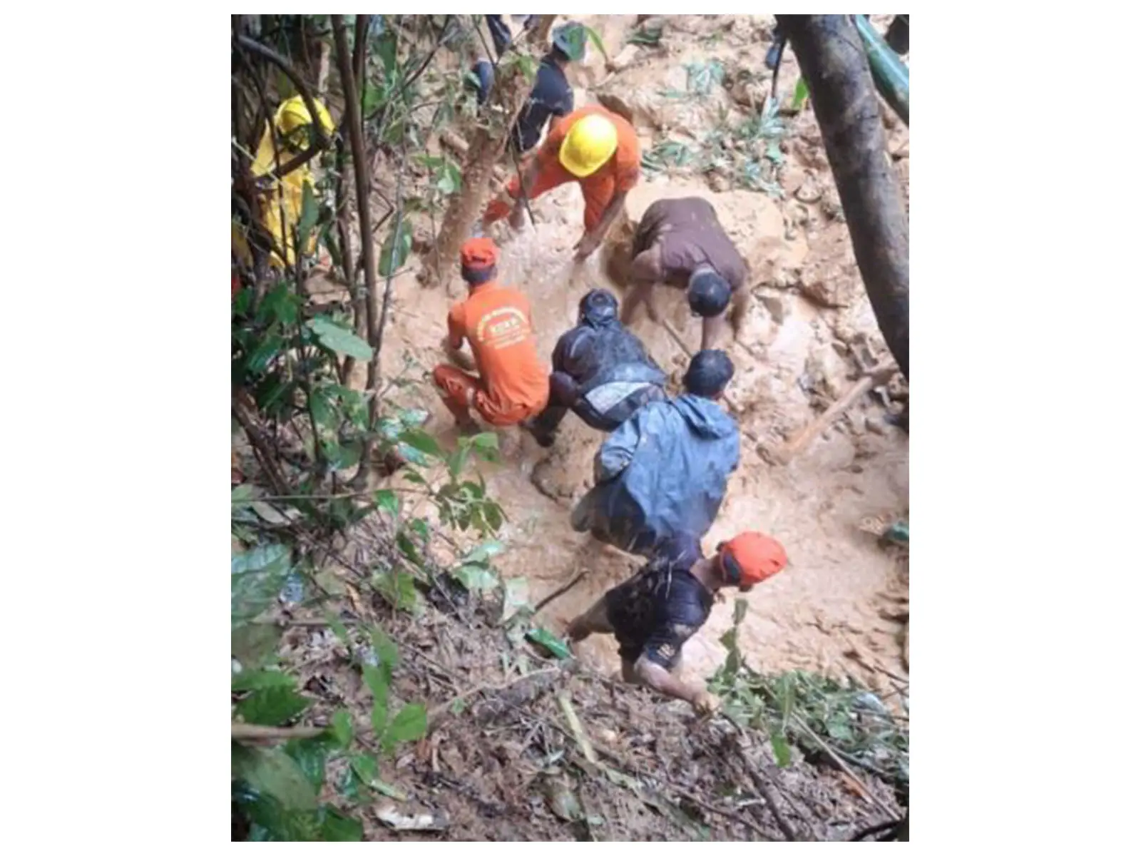 8 killed, 12 injured in Nagaland landslides as heavy rain batters Mon district