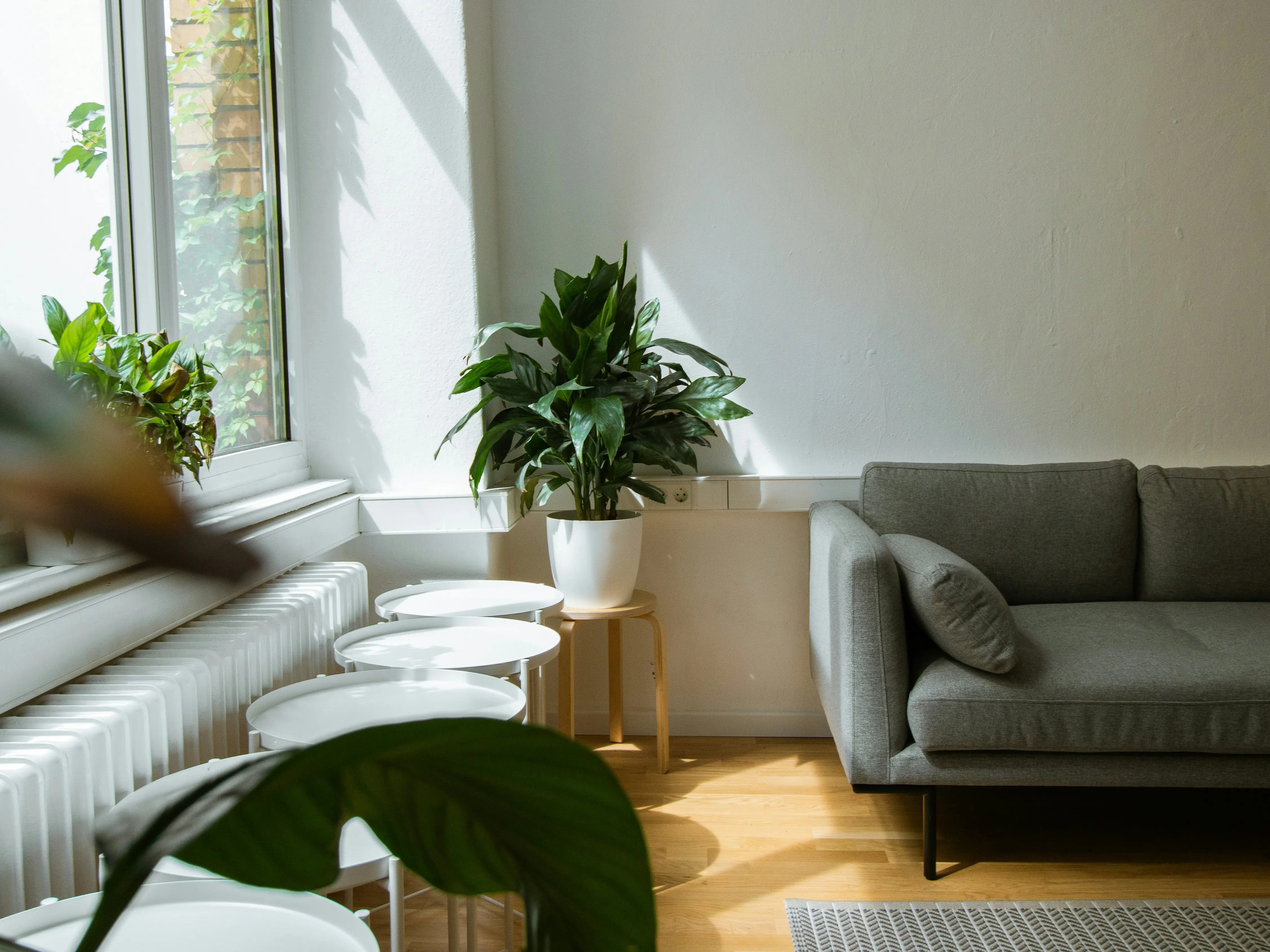 De-stress by changing a few things at home as per Vastu rules De-stress by changing a few things at home as per Vastu rules