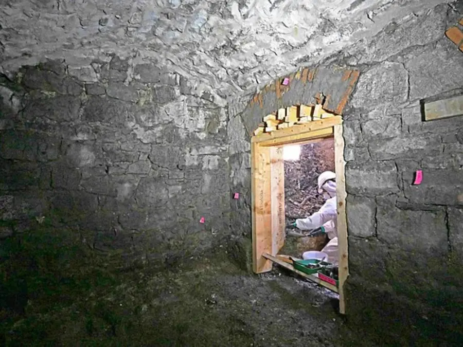 Irish horror house where nearly 800 babies were experimented on reveals remains of 22 more infants