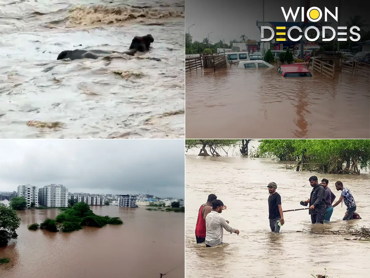 Did scientists miss the real reason behind Gujarat's record rain? Meet the Pacific Decadal Oscillation | WION Decodes