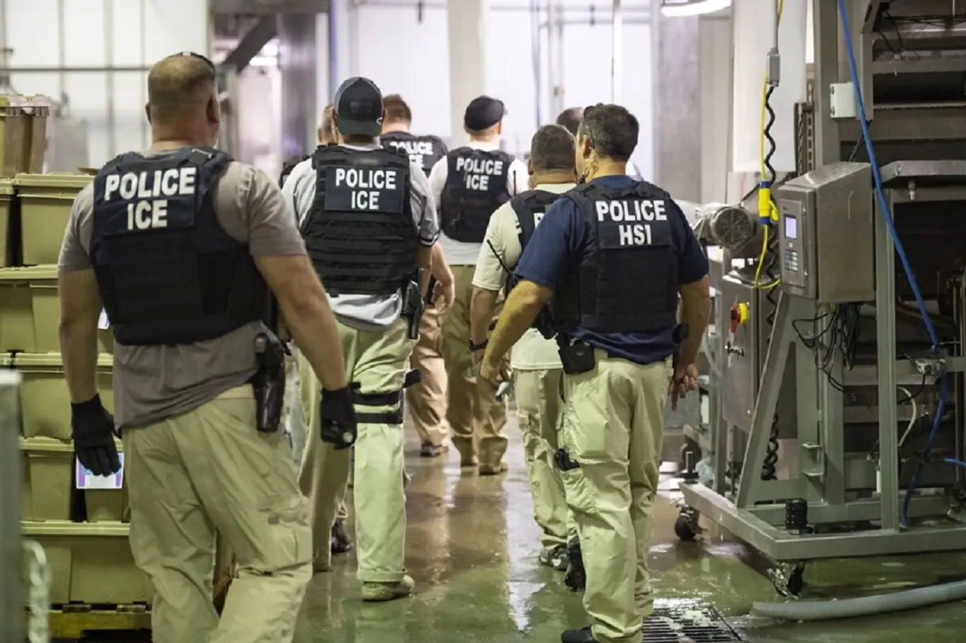 Chinese students learn how to deal with ICE raids in US in special camps | Gravitas
