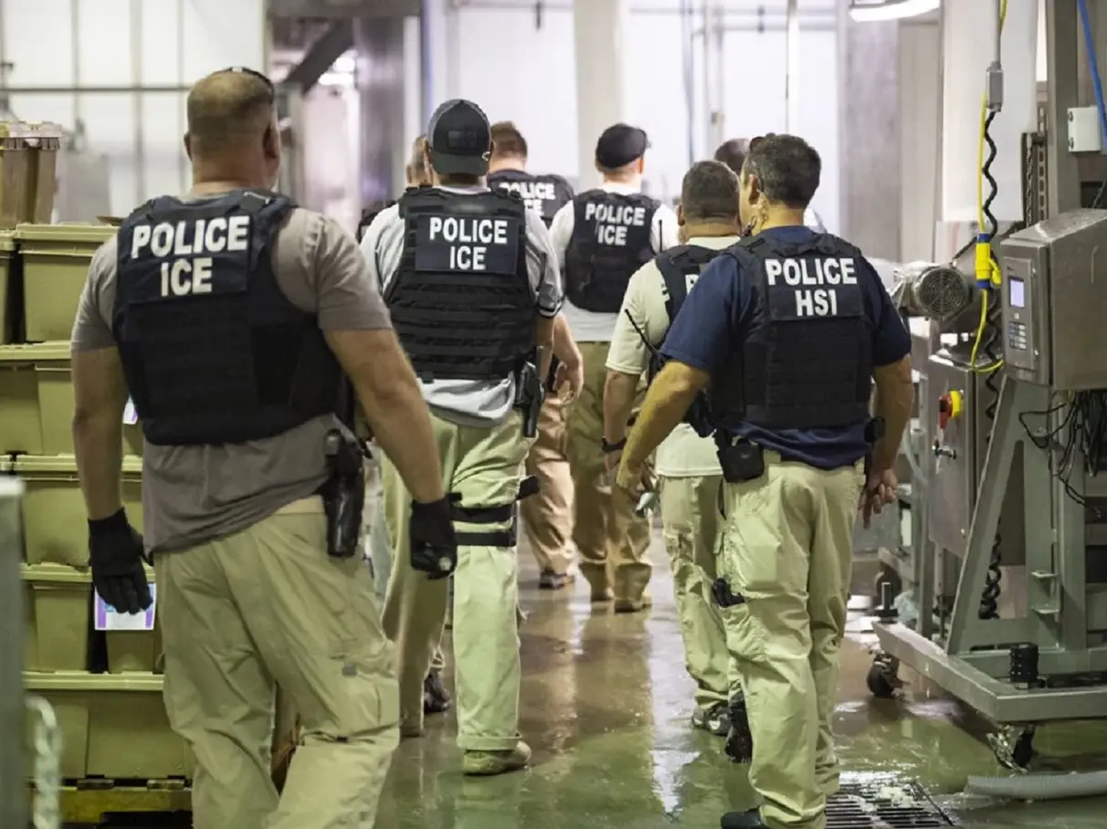 Chinese students learn how to deal with ICE raids in US in special camps | Gravitas Chinese students learn how to deal with ICE raids in US in special camps | Gravitas