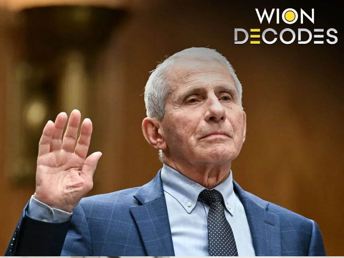 Former top US Covid expert Fauci pleads Fifth during Senate hearing over Covid origins: What is the amendment?