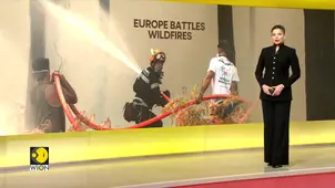 Europe Wildfires: Firefighters battle infernos in Turkiye 