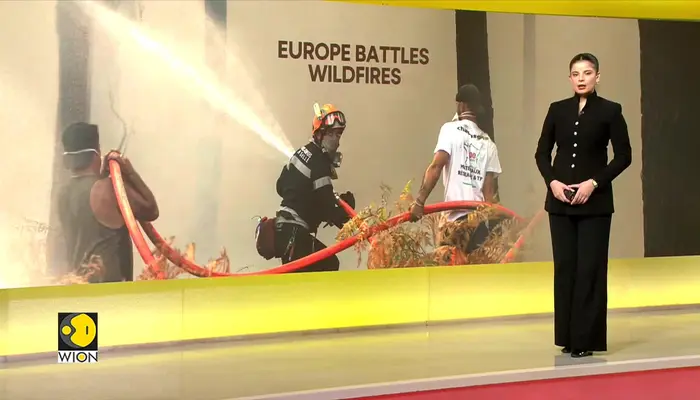Europe Wildfires: Firefighters battle infernos in Turkiye