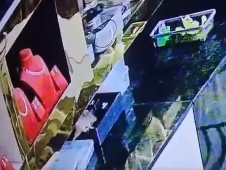 Greatest heist? Rat caught in CCTV stealing 10 'gold rings' worth around Rs 10 lakh from Karnataka store: VIDEO Greatest heist? Rat caught in CCTV stealing 10 'gold rings' worth around Rs 10 lakh from Karnataka store: VIDEO