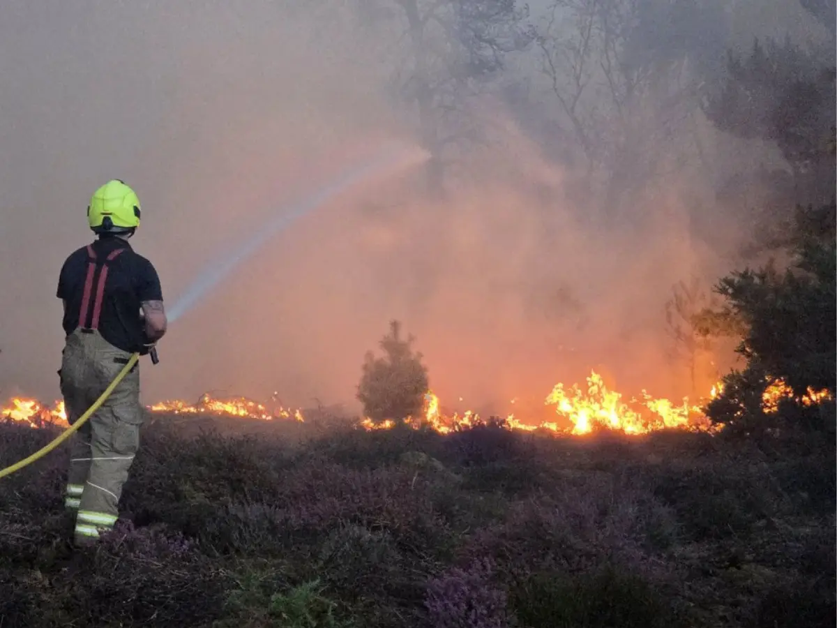 Wildfire the size of 140 football fields edges closer to nuclear plant in UK. Here's what experts think can happen Wildfire the size of 140 football fields edges closer to nuclear plant in UK. Here's what experts think can happen