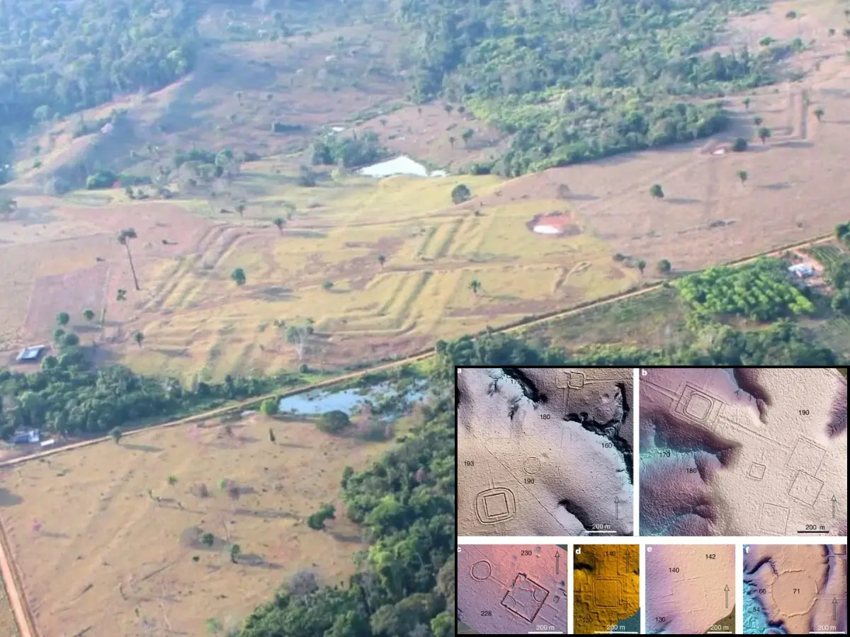 Mysterious structures uncovered beneath the Amazon show millions of humans once lived here