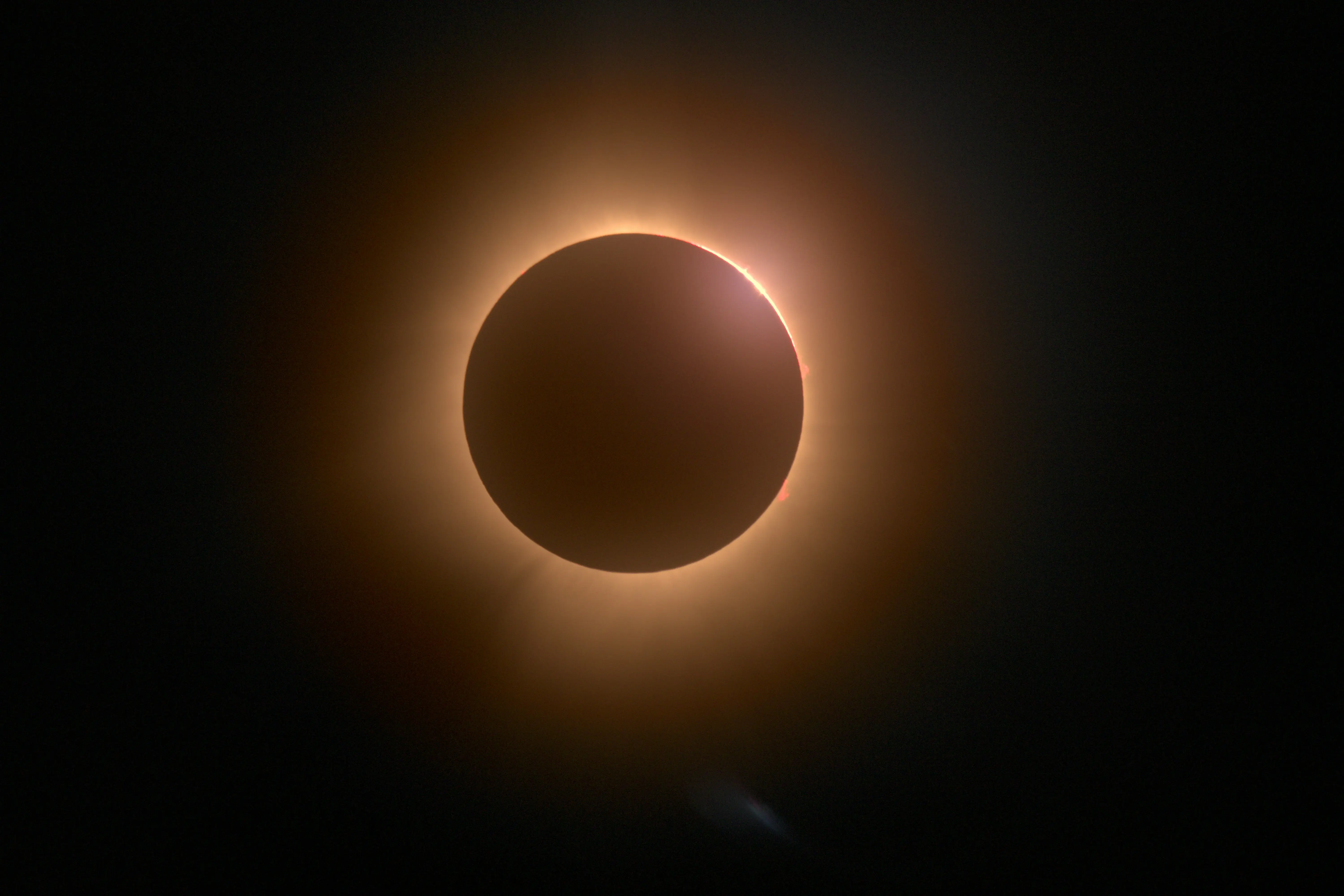 'Soft reboot' by the universe?