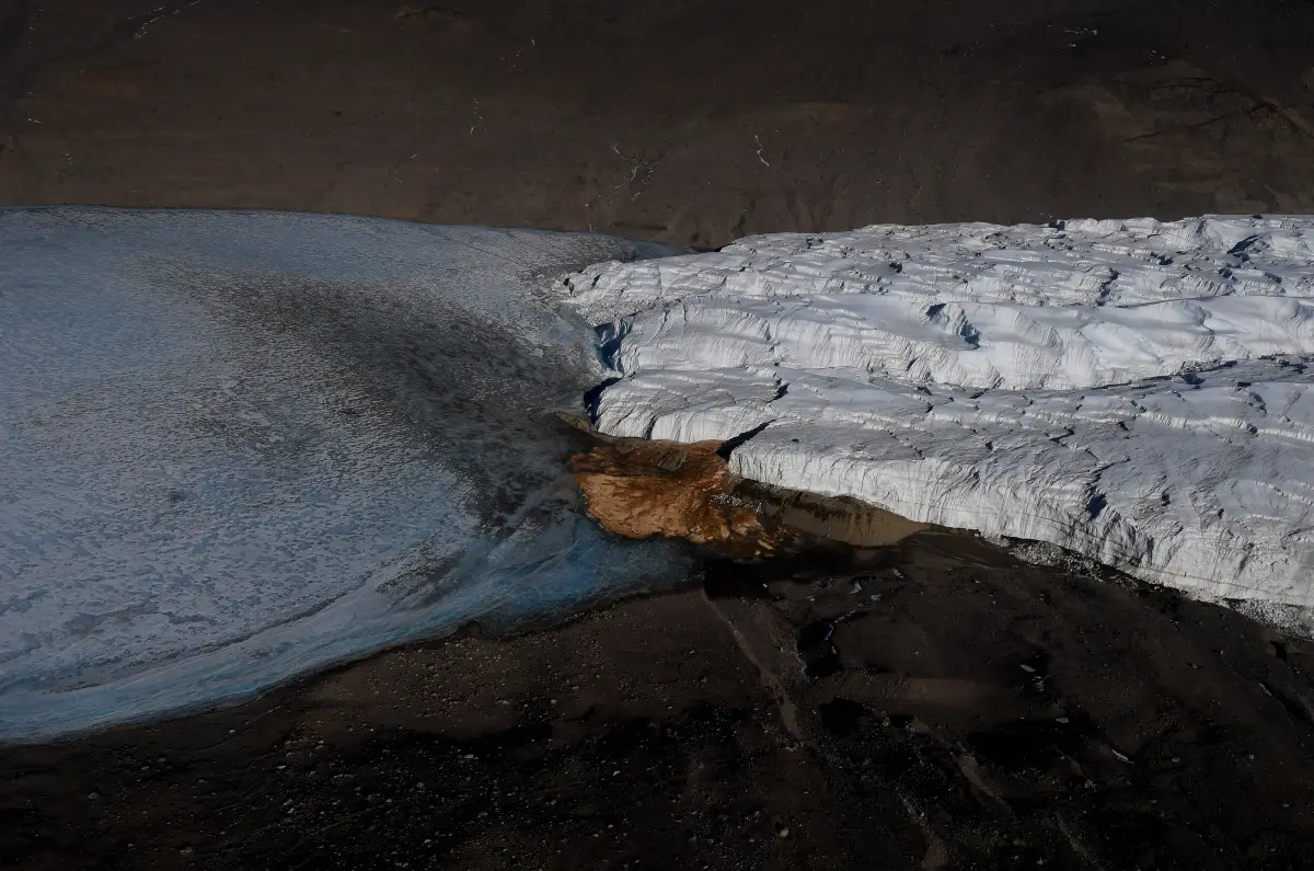 Scientists find descendants of ancient sea creatures trapped under Antarctica's Blood Falls