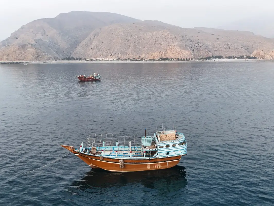Cargo vessel hit by 'unknown projectile' in Strait of Hormuz off the coast of Oman Cargo vessel hit by 'unknown projectile' in Strait of Hormuz off the coast of Oman