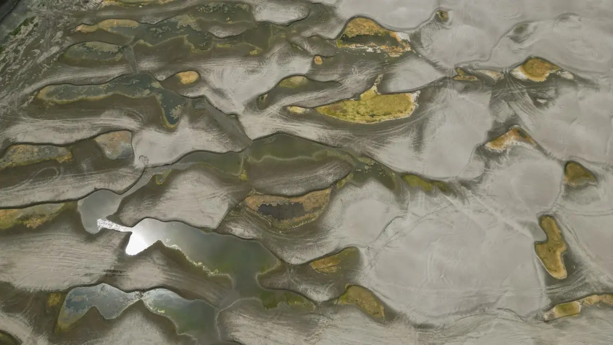 Woolly mammoth and shipwrecks: Ancient relics revealed as historic river dries up