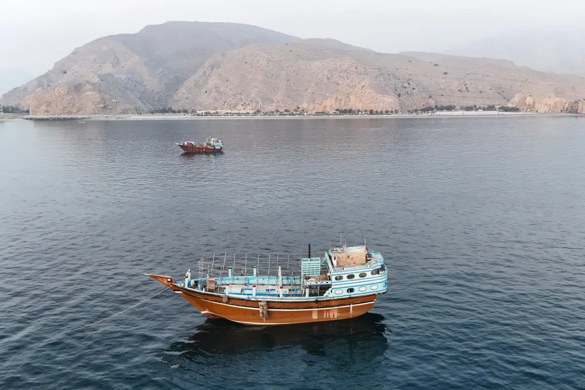 Iran-Oman Hormuz talks: Where things stand | WION Decodes