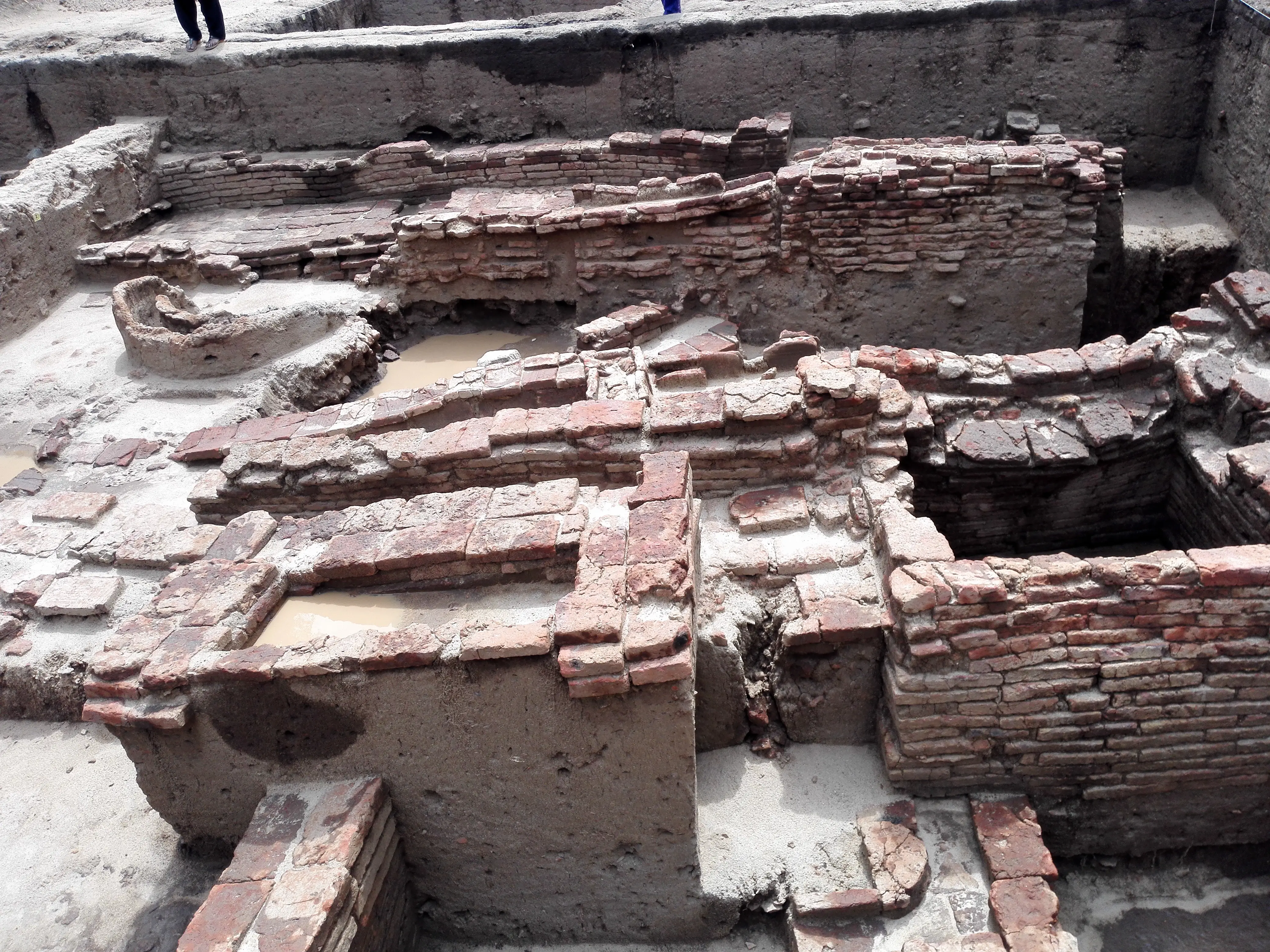 The genetic roots of Tamils: 75,000 DNA markers decoded in latest study of Sangam-era settlement
