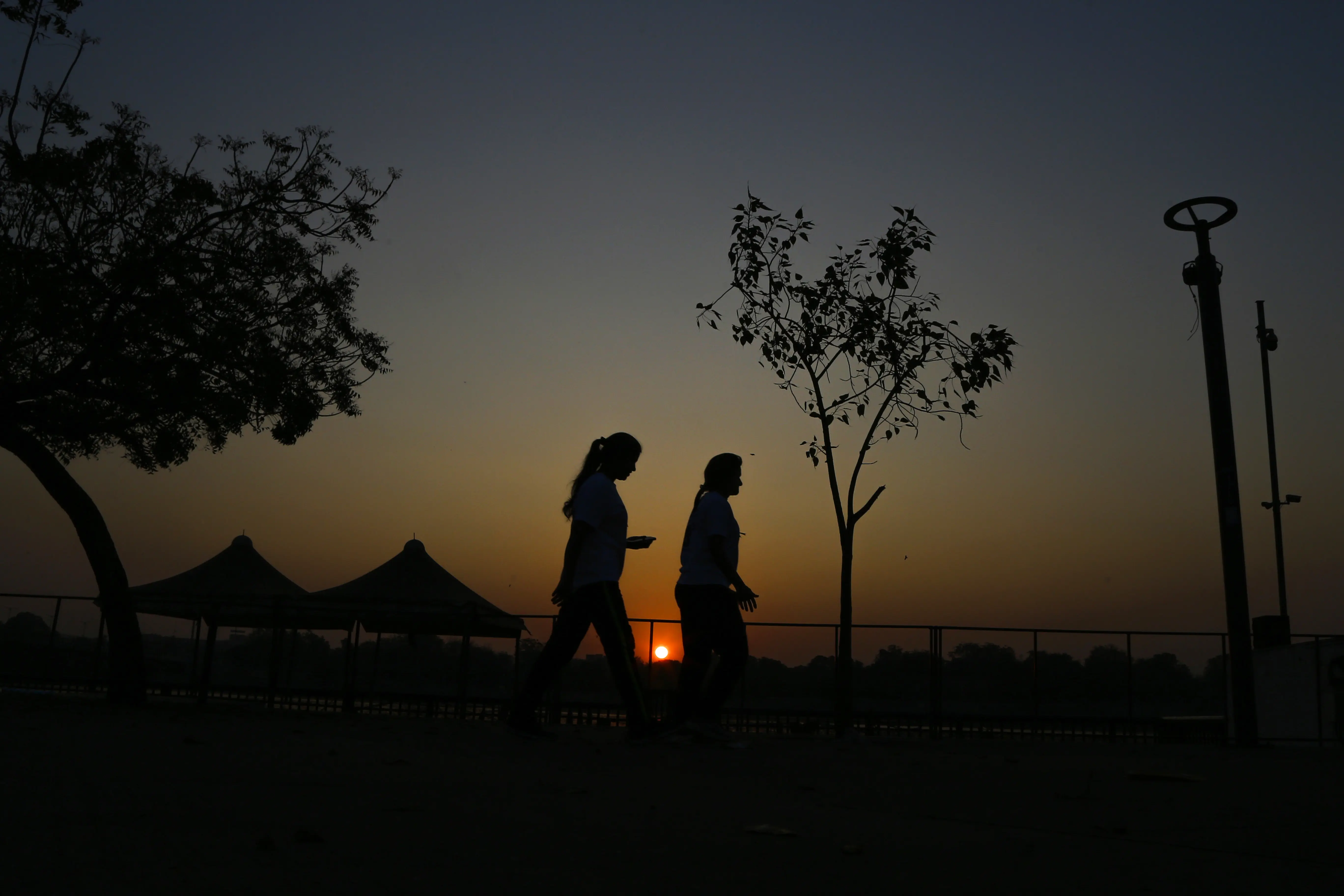 Gender gap persists in India's organ transplants