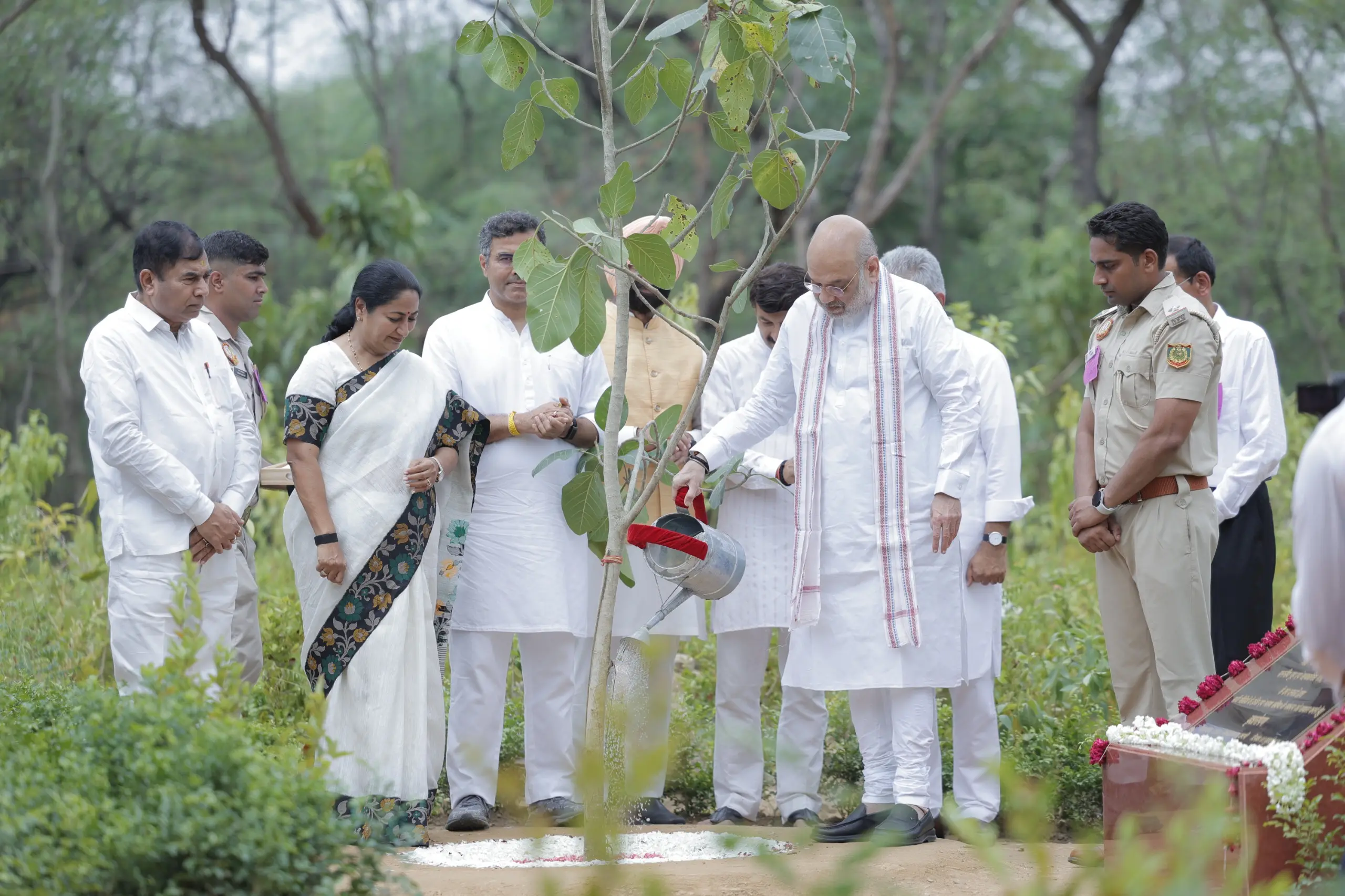 'Ek Ped Maa Ke Naam': Delhi's plantation drive crosses halfway mark, 54% of 70 lakh target achieved