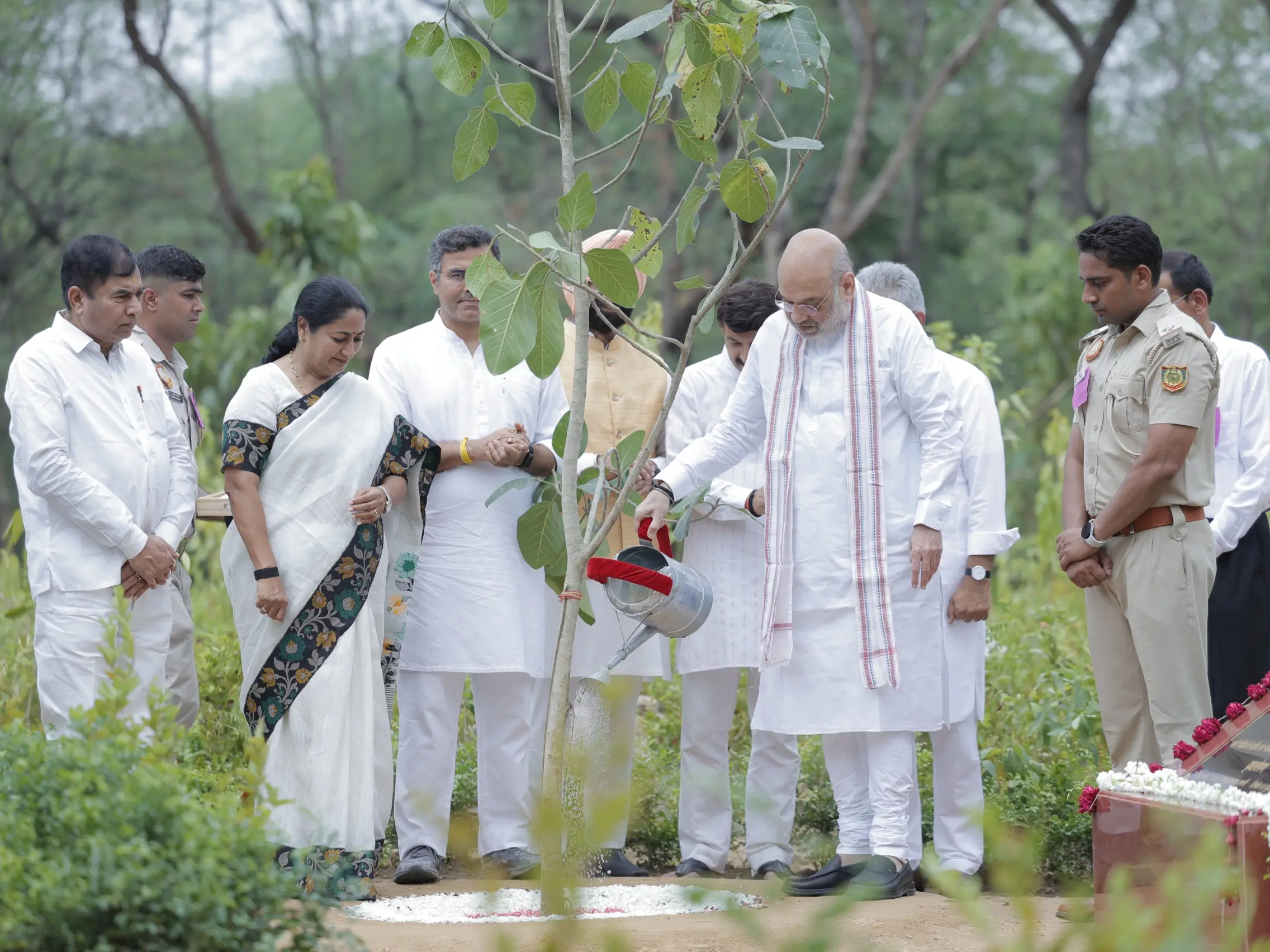 'Ek Ped Maa Ke Naam': Delhi's plantation drive crosses halfway mark, 54% of 70 lakh target achieved 'Ek Ped Maa Ke Naam': Delhi's plantation drive crosses halfway mark, 54% of 70 lakh target achieved