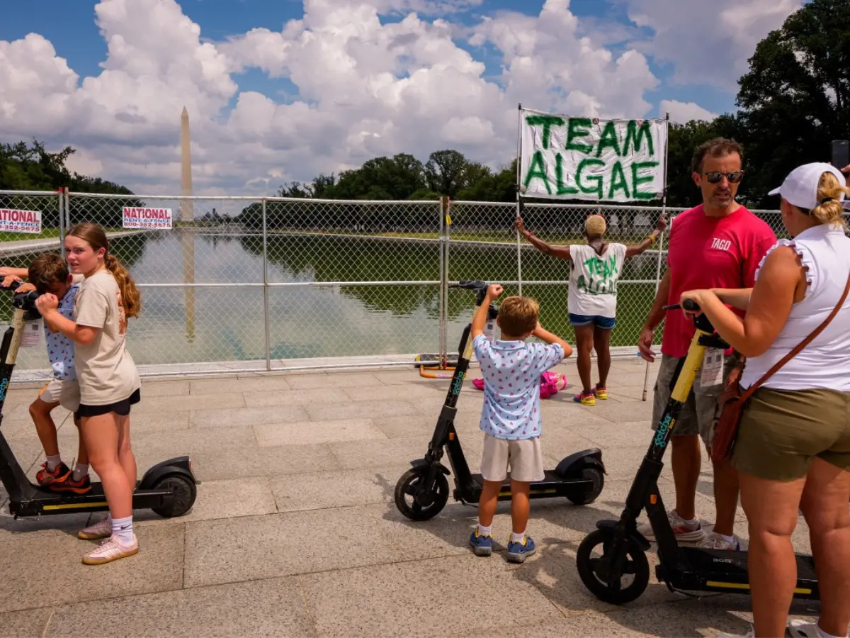 Now we know that the Reflecting Pool sealant was indeed knifed, and who did it