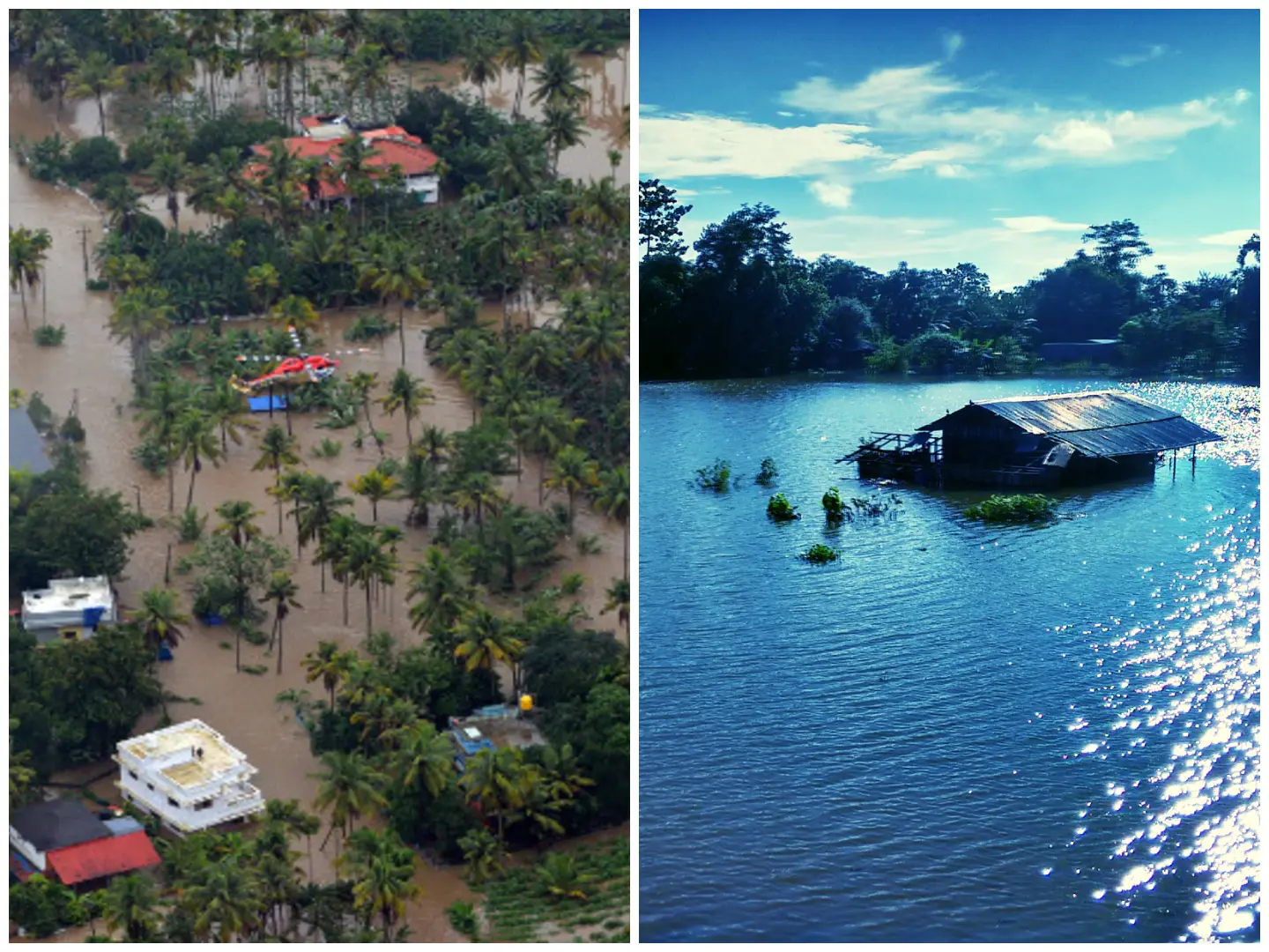 India floods: How are states faring? From Kerala's AI-assisted alert systems to tackling Assam's mighty Brahmaputra, it's complicated